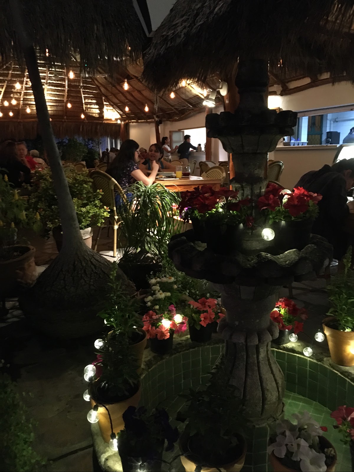 leetx-google-photo-51376-5 leetx-google-photo-51376-5