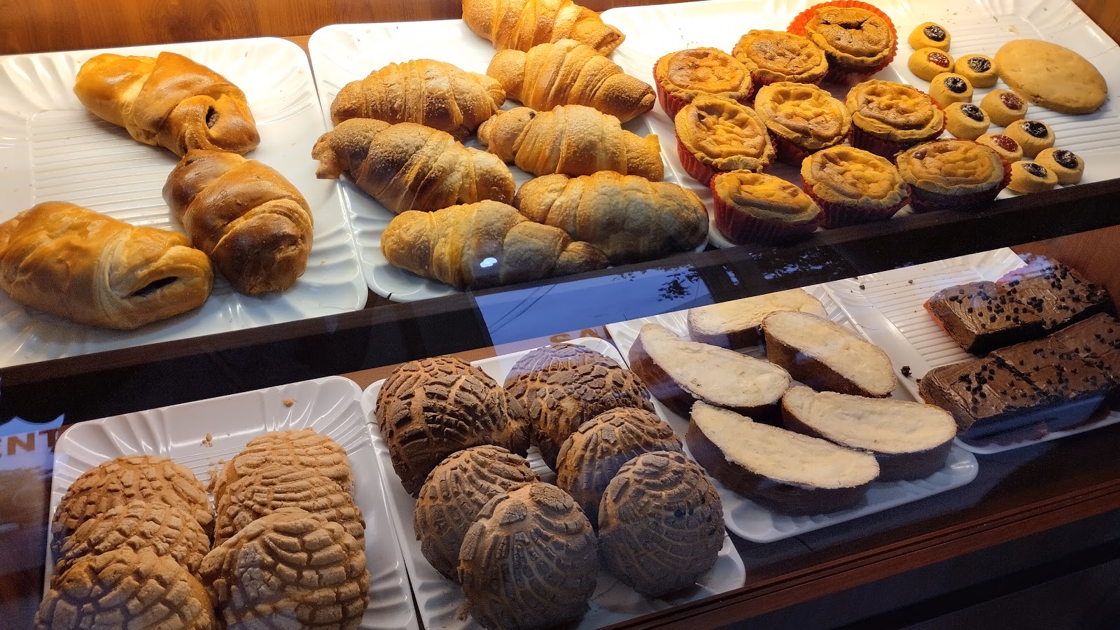 leetx-google-photo-51501-1