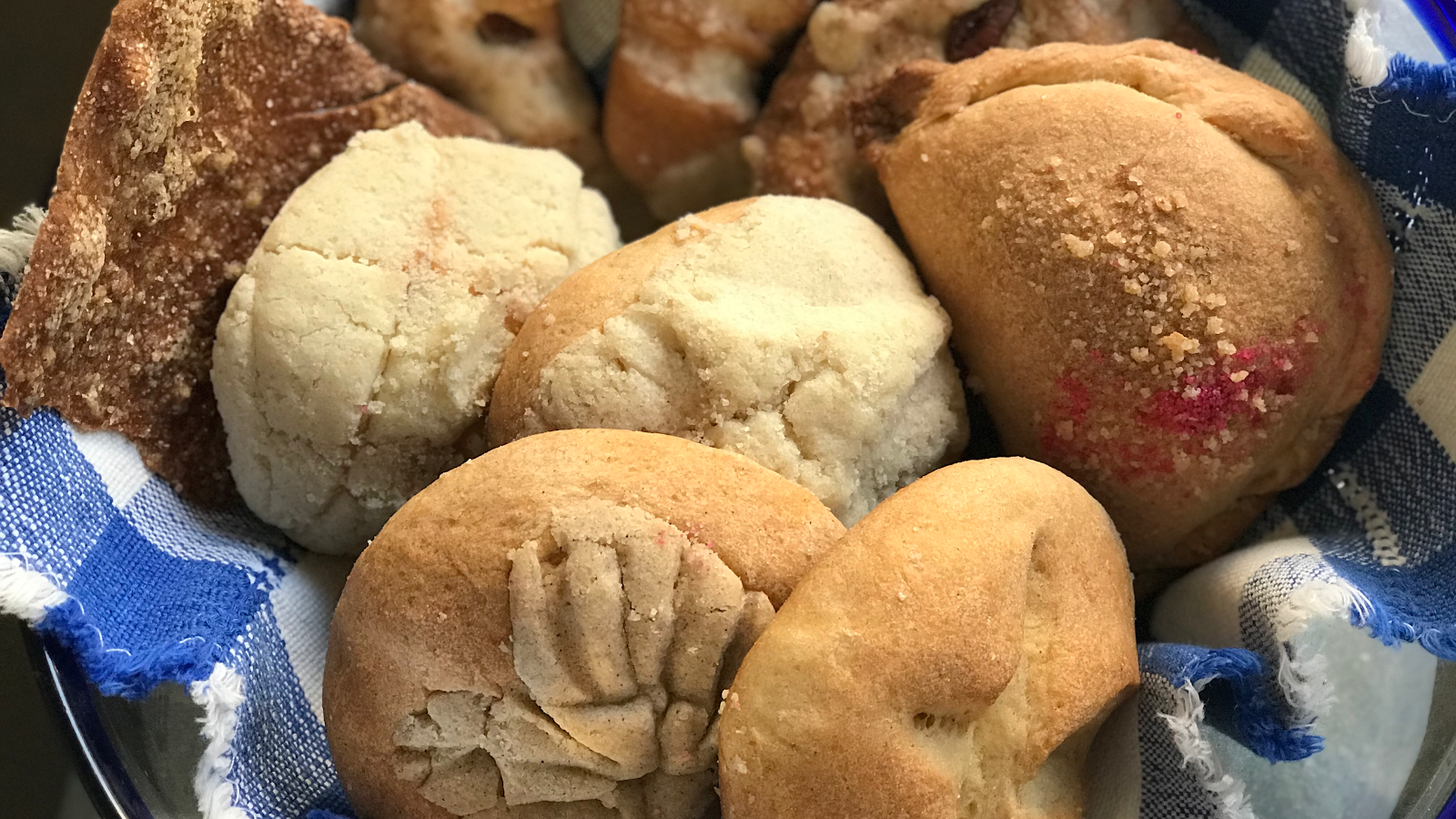 leetx-google-photo-51524-2 leetx-google-photo-51524-2