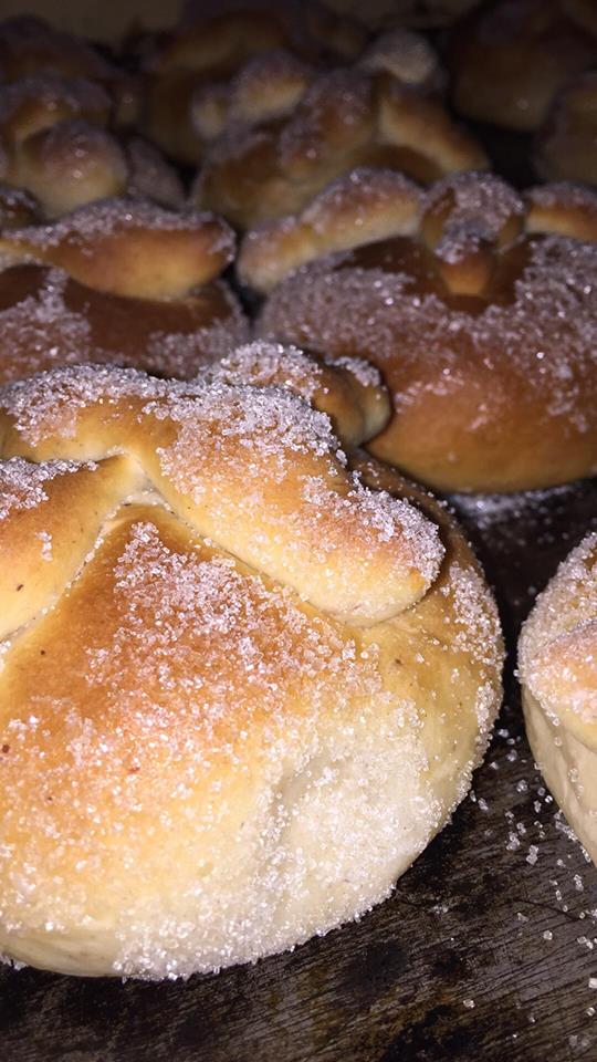 leetx-google-photo-51524-4 leetx-google-photo-51524-4