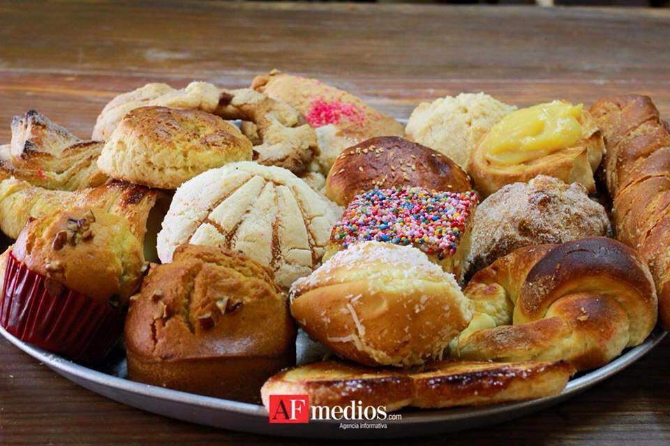 leetx-google-photo-51524-5 leetx-google-photo-51524-5