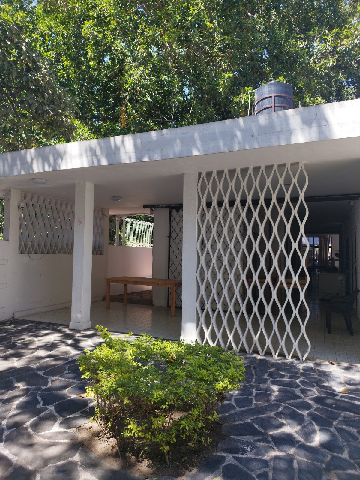 leetx-google-photo-51617-1