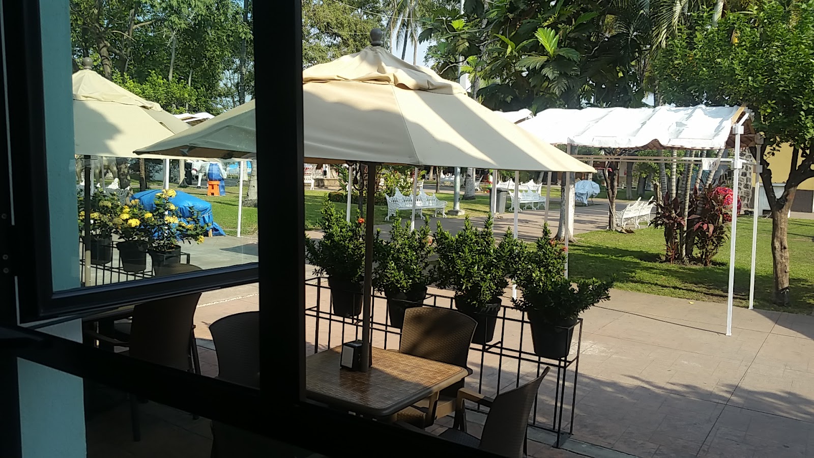 leetx-google-photo-51626-1