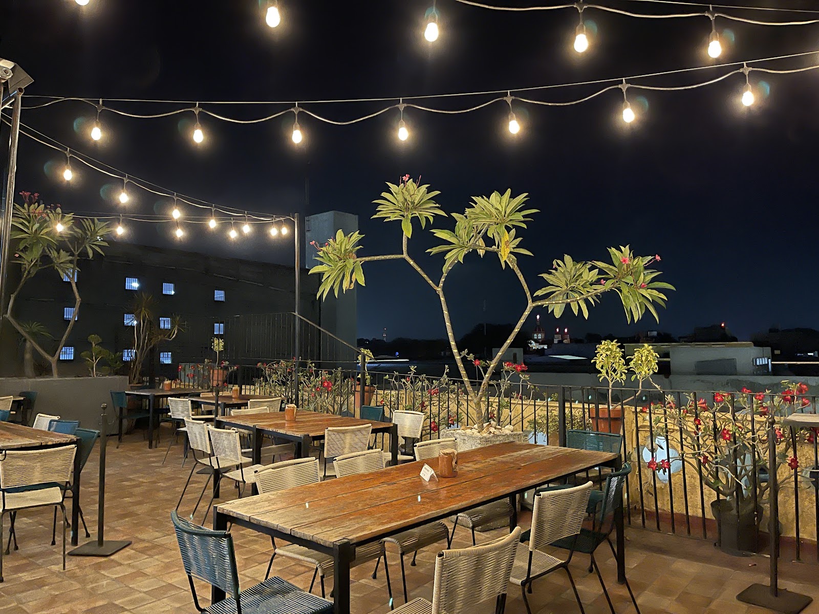 leetx-google-photo-51788-1