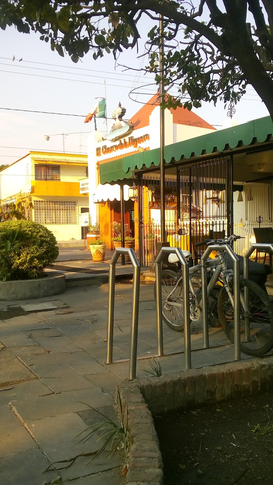 leetx-google-photo-51859-1