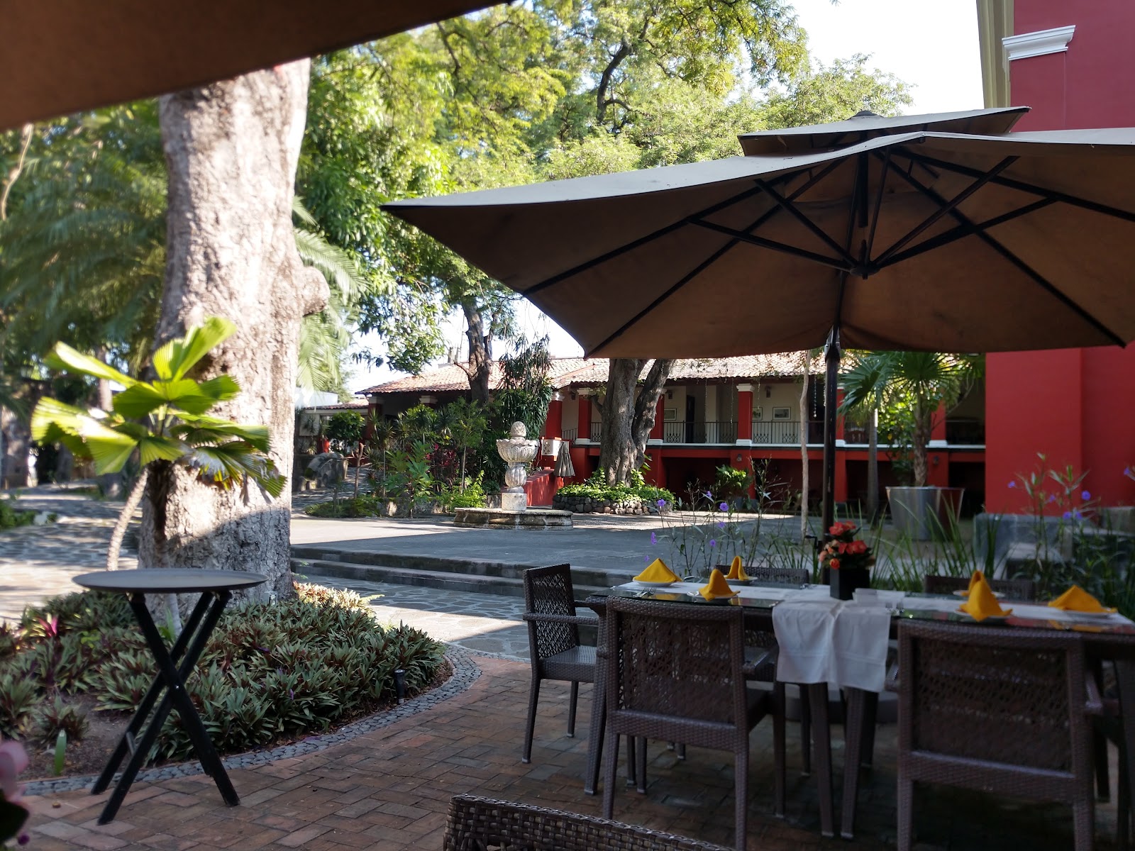 leetx-google-photo-51913-1