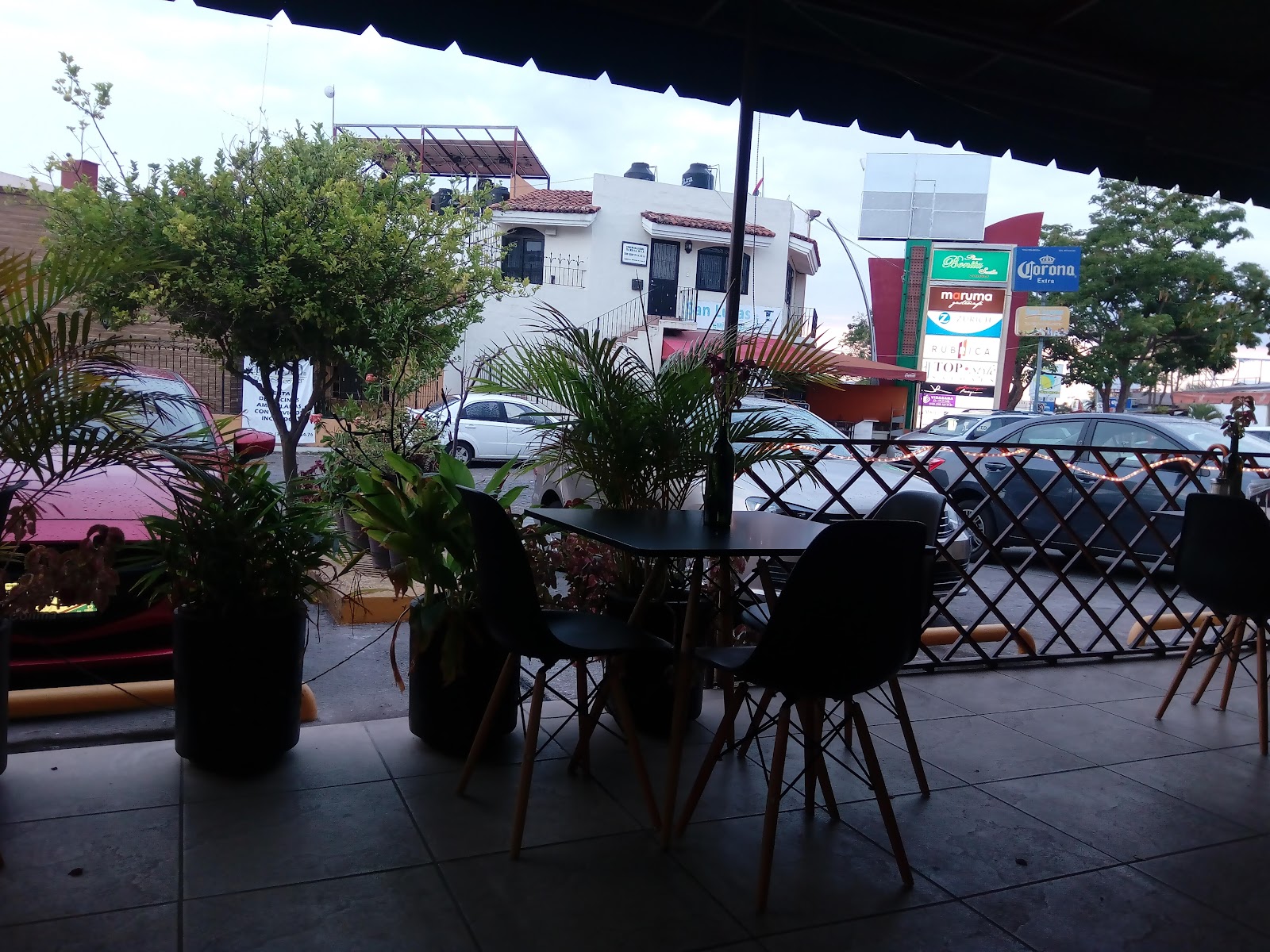 leetx-google-photo-51957-1