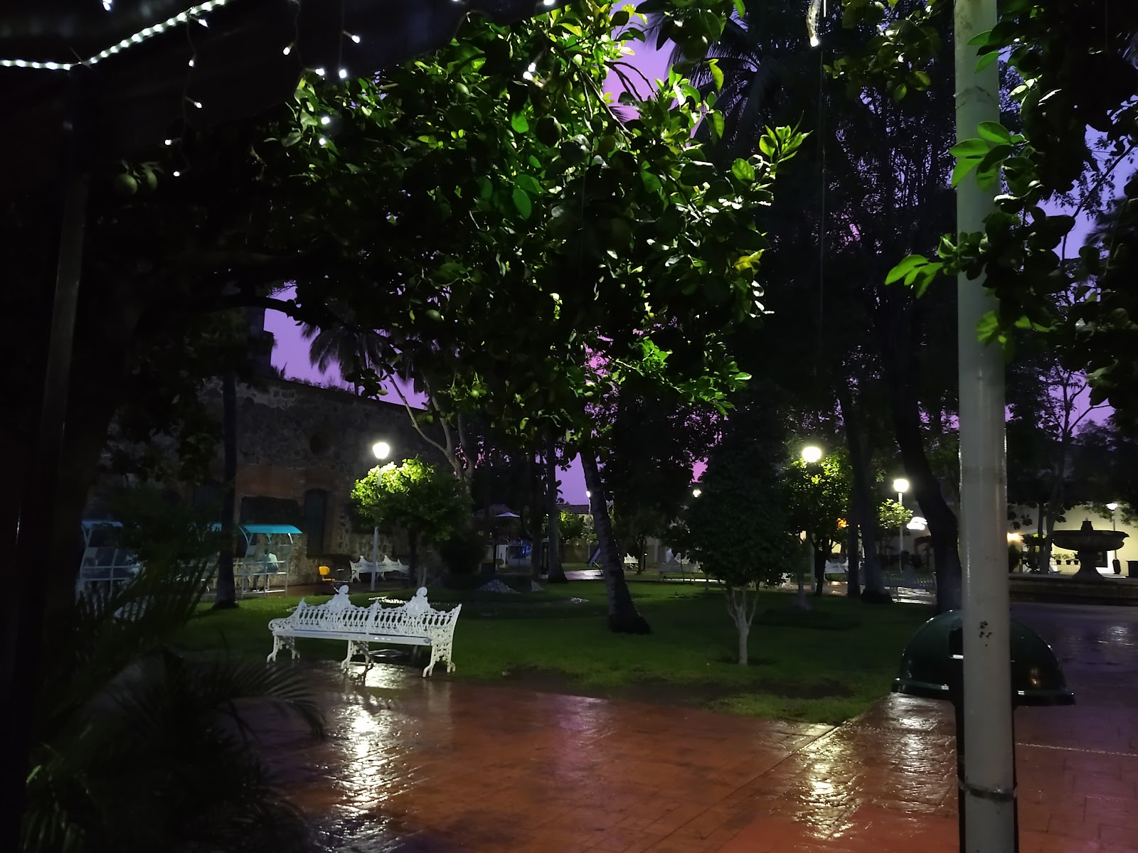 leetx-google-photo-51975-7 leetx-google-photo-51975-7