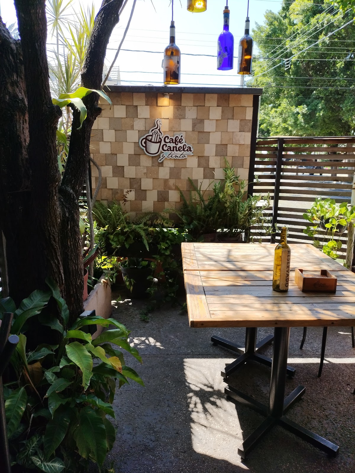 leetx-google-photo-52010-1