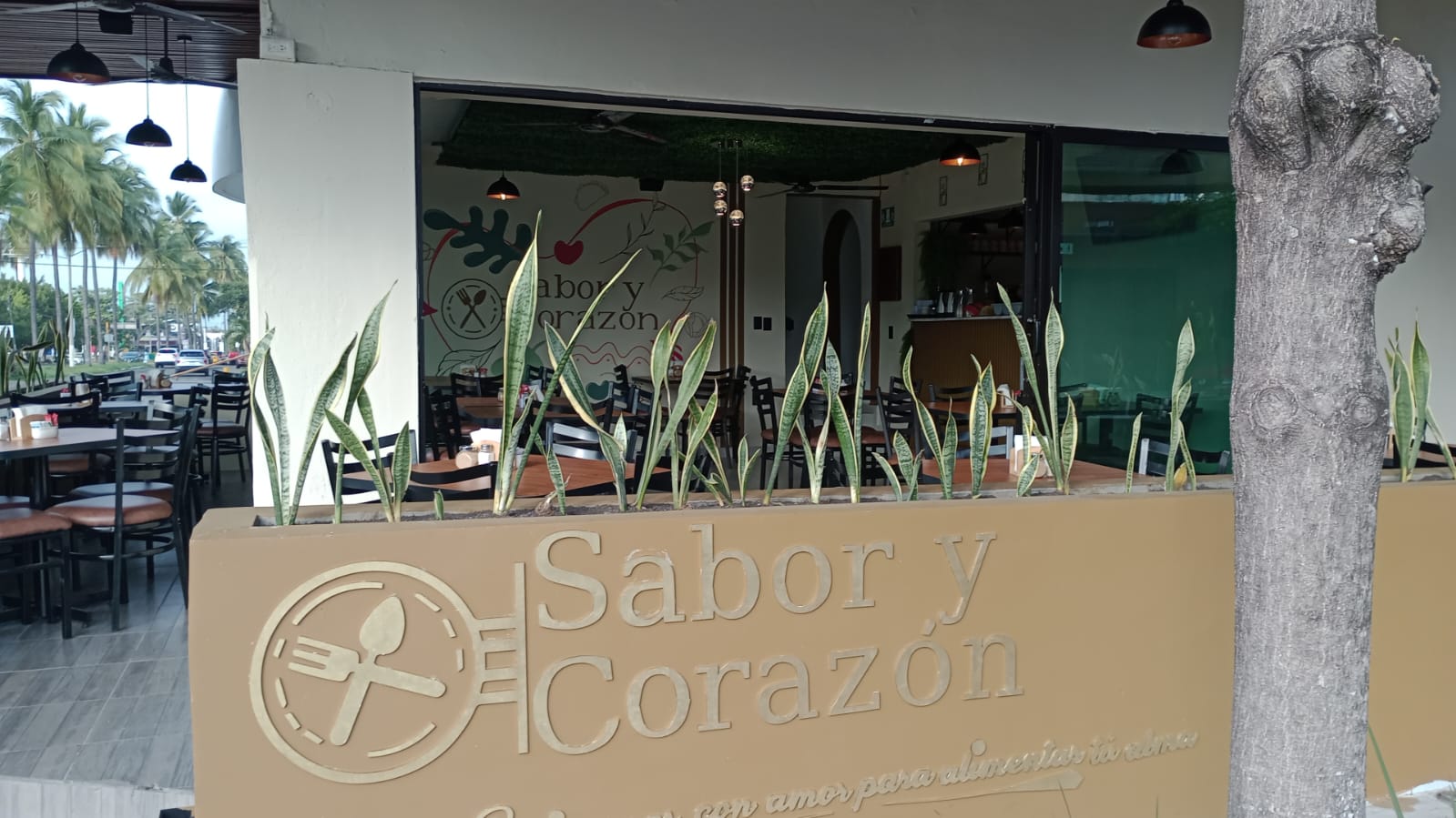 leetx-google-photo-52229-2 leetx-google-photo-52229-2