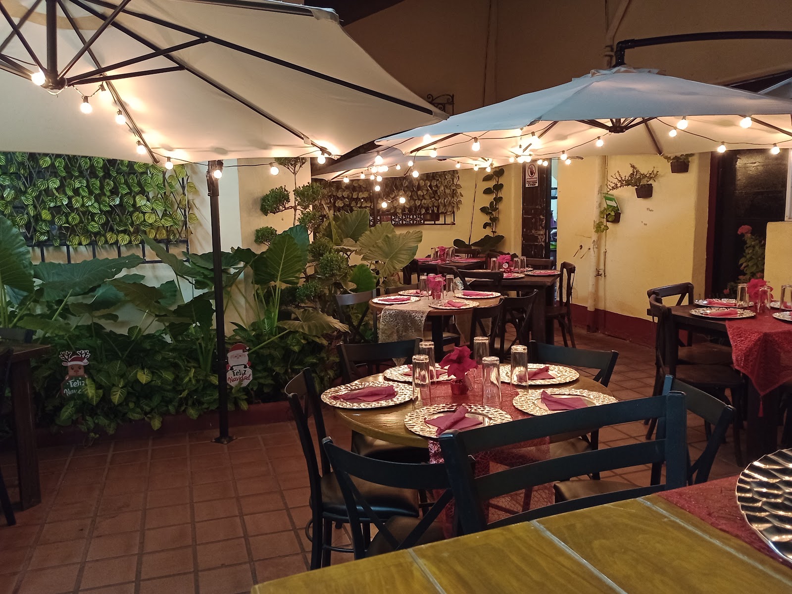 leetx-google-photo-52242-3 leetx-google-photo-52242-3