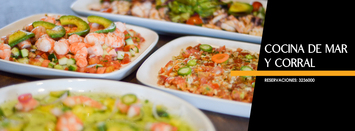 leetx-google-photo-52294-2 leetx-google-photo-52294-2