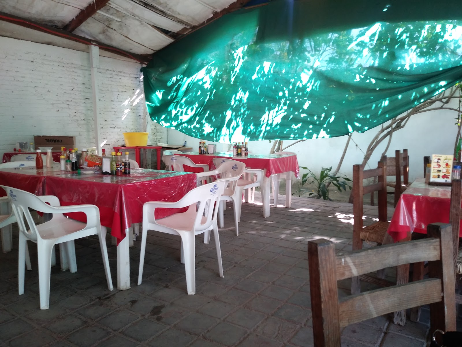 leetx-google-photo-52812-1