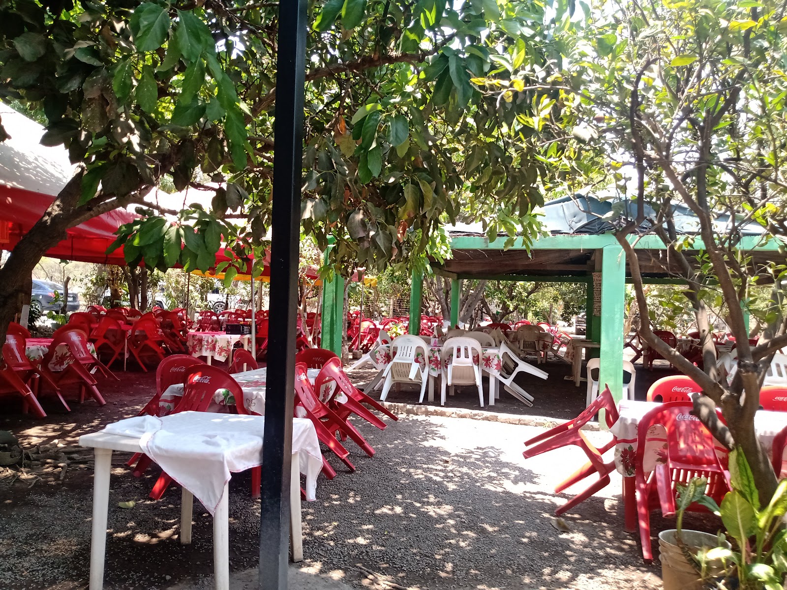 leetx-google-photo-52847-1