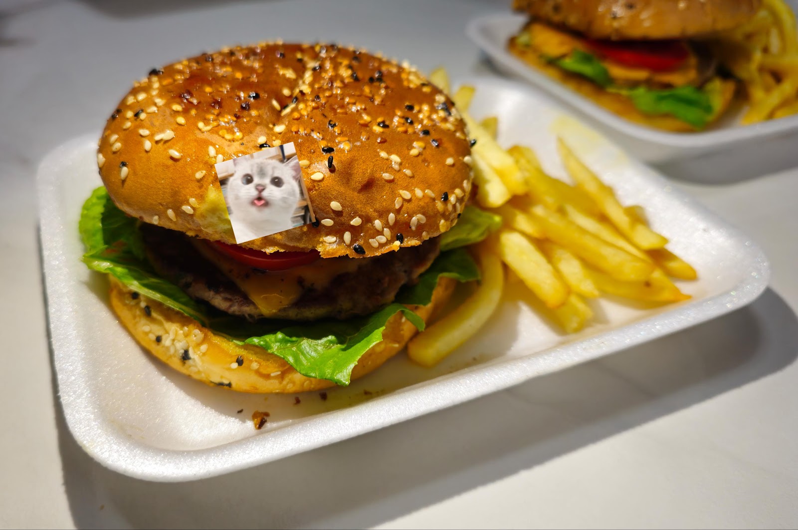 leetx-google-photo-53118-1