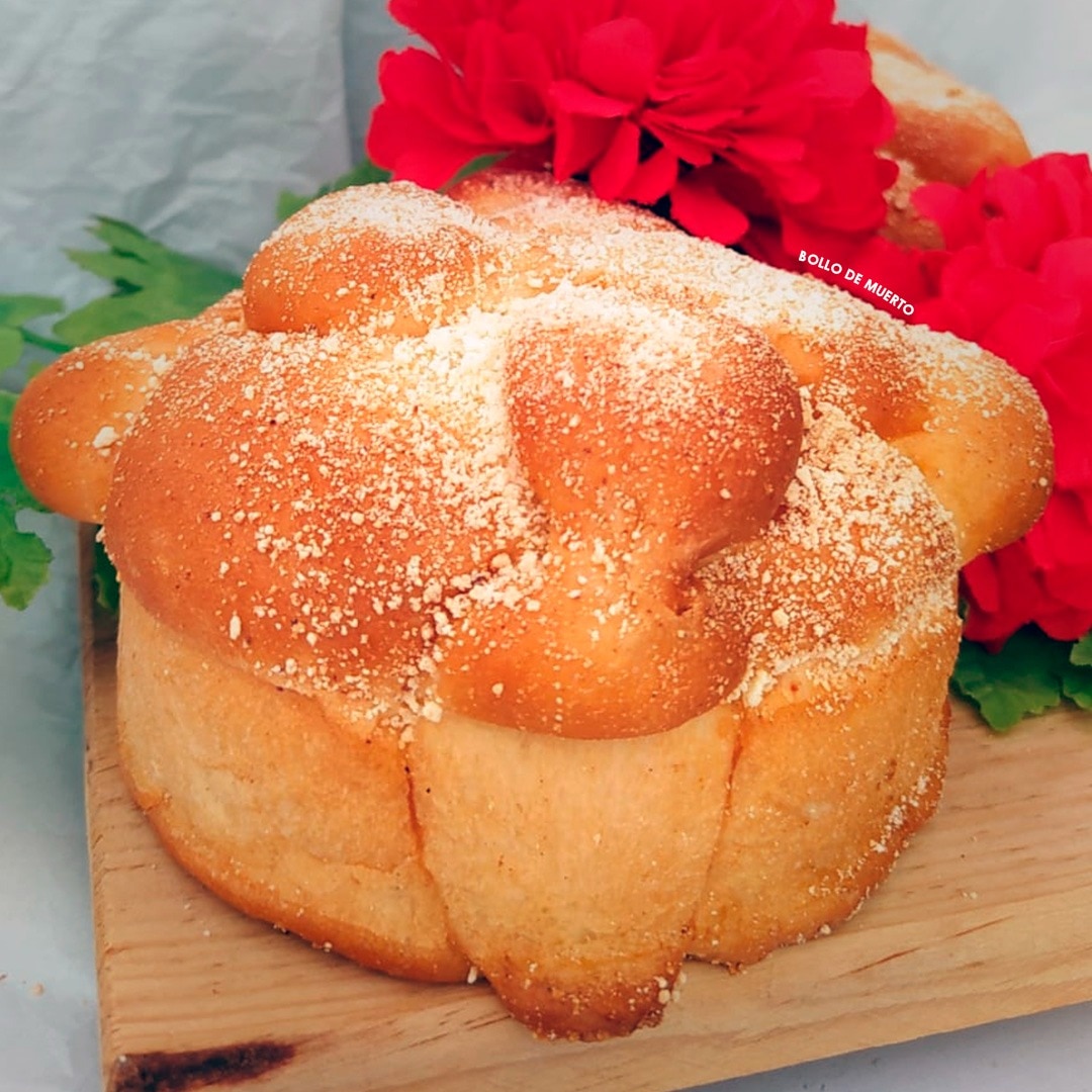 leetx-google-photo-53222-1