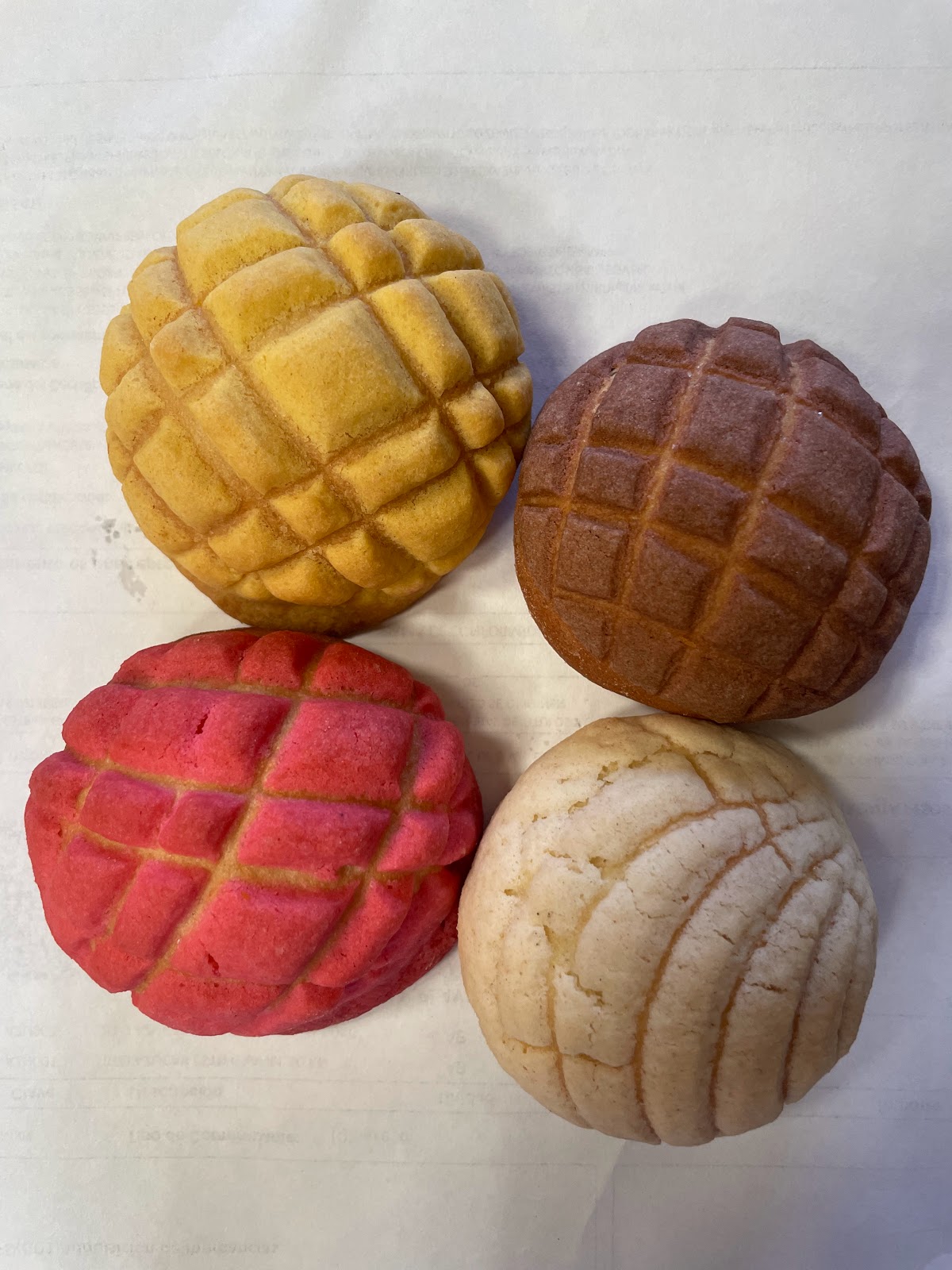 leetx-google-photo-53239-1