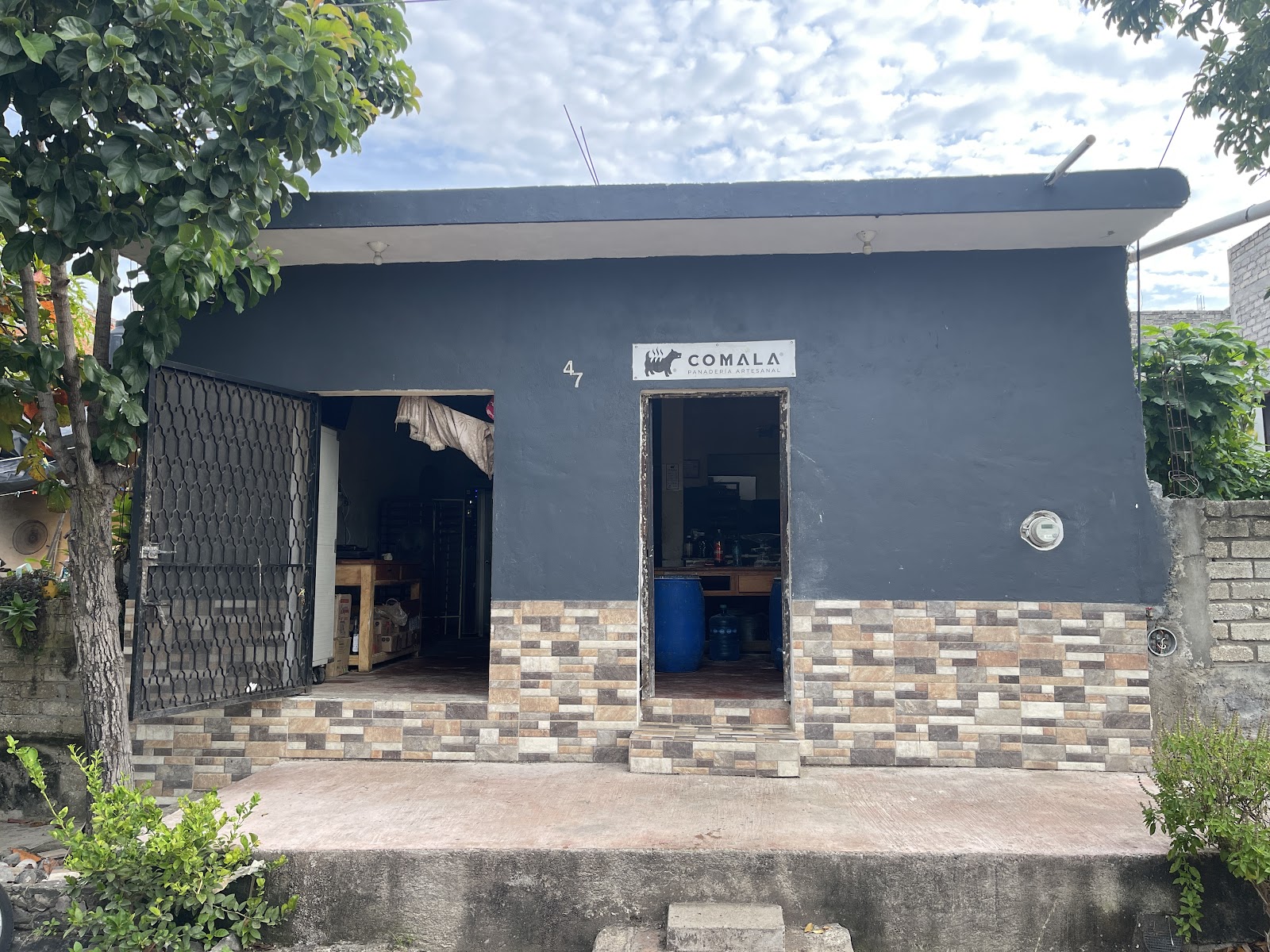 leetx-google-photo-53311-2 leetx-google-photo-53311-2