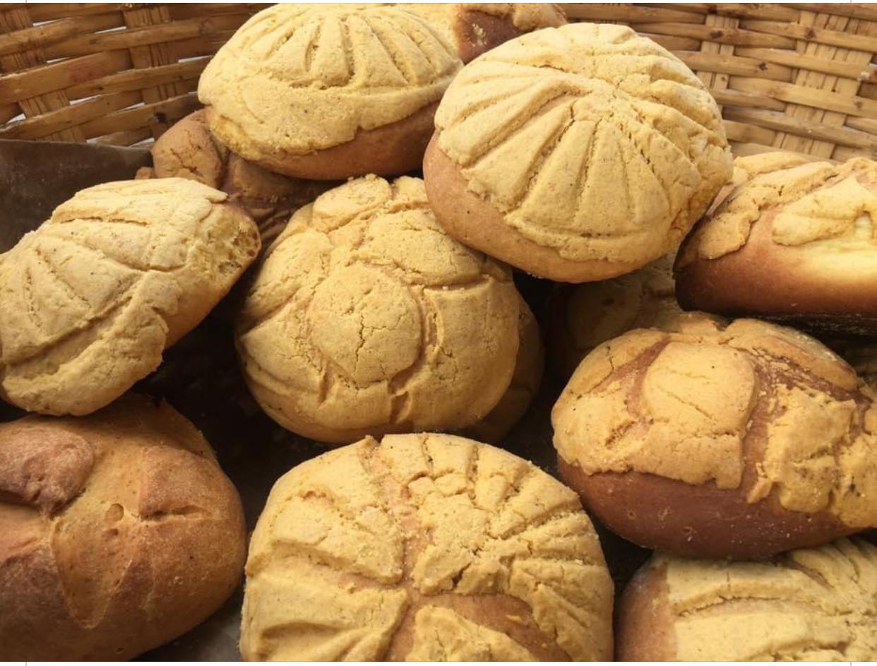 leetx-google-photo-53311-3 leetx-google-photo-53311-3