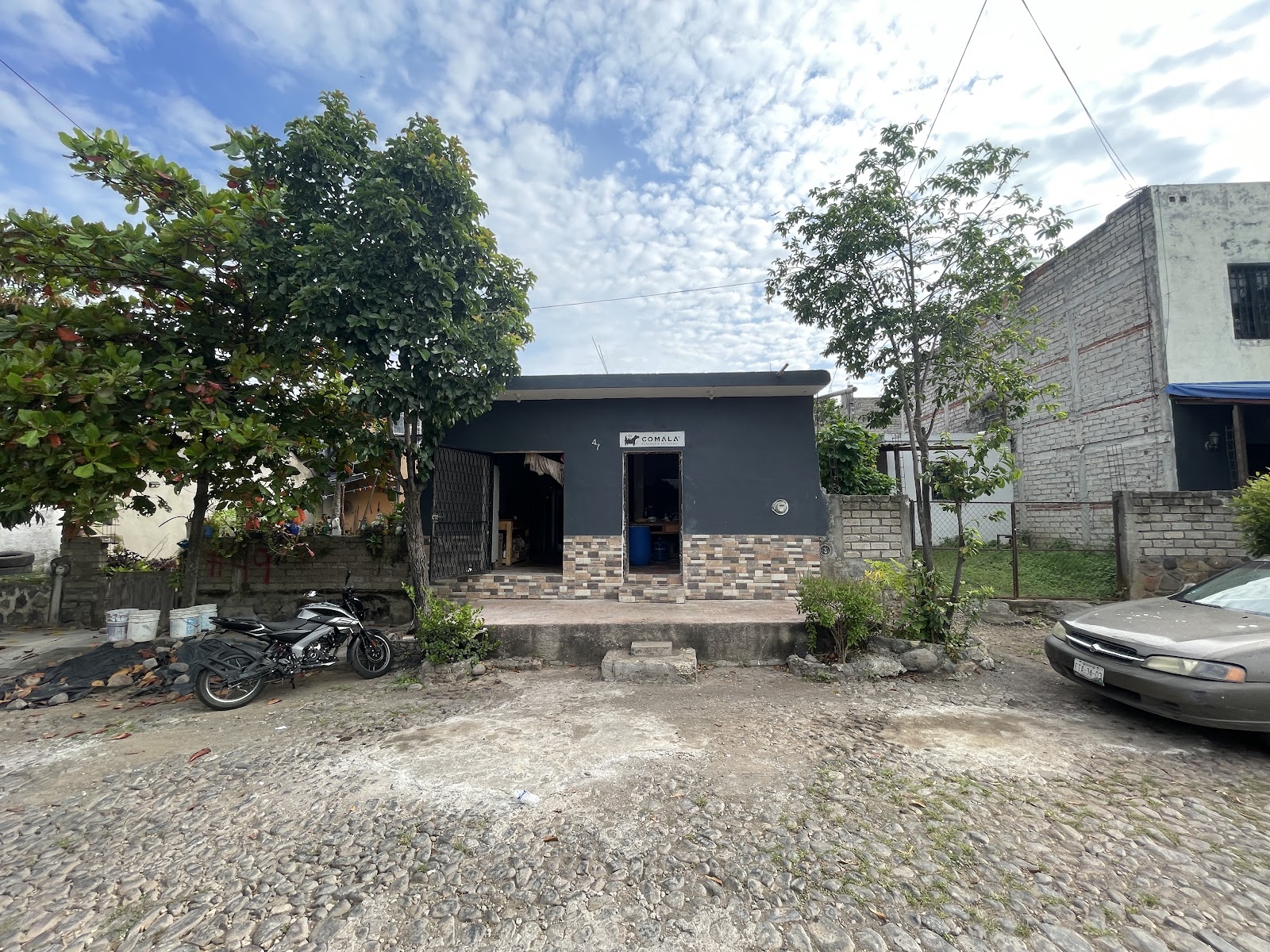 leetx-google-photo-53311-4 leetx-google-photo-53311-4