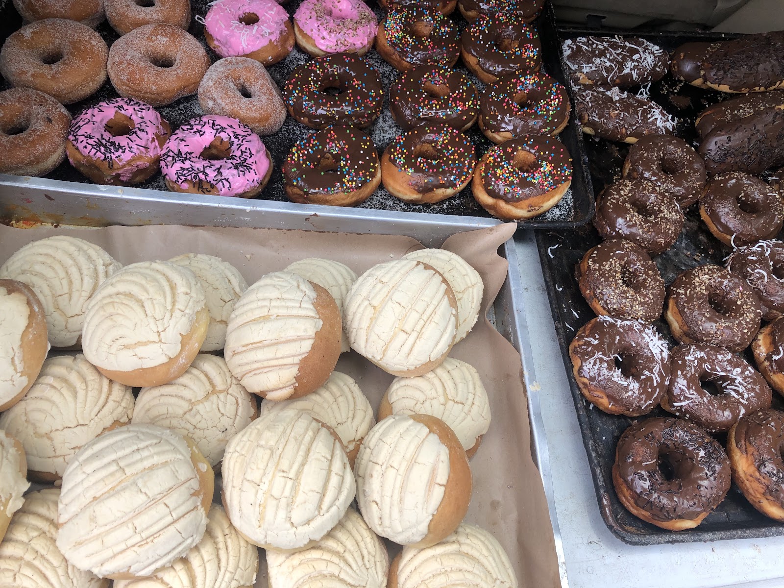 leetx-google-photo-53311-5 leetx-google-photo-53311-5