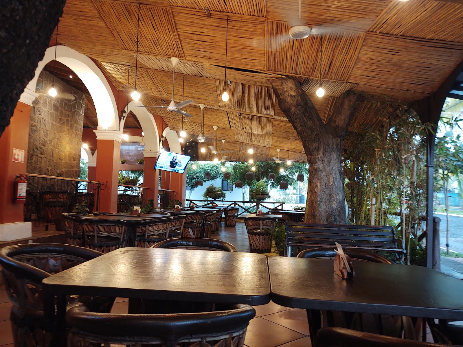 leetx-google-photo-53867-1