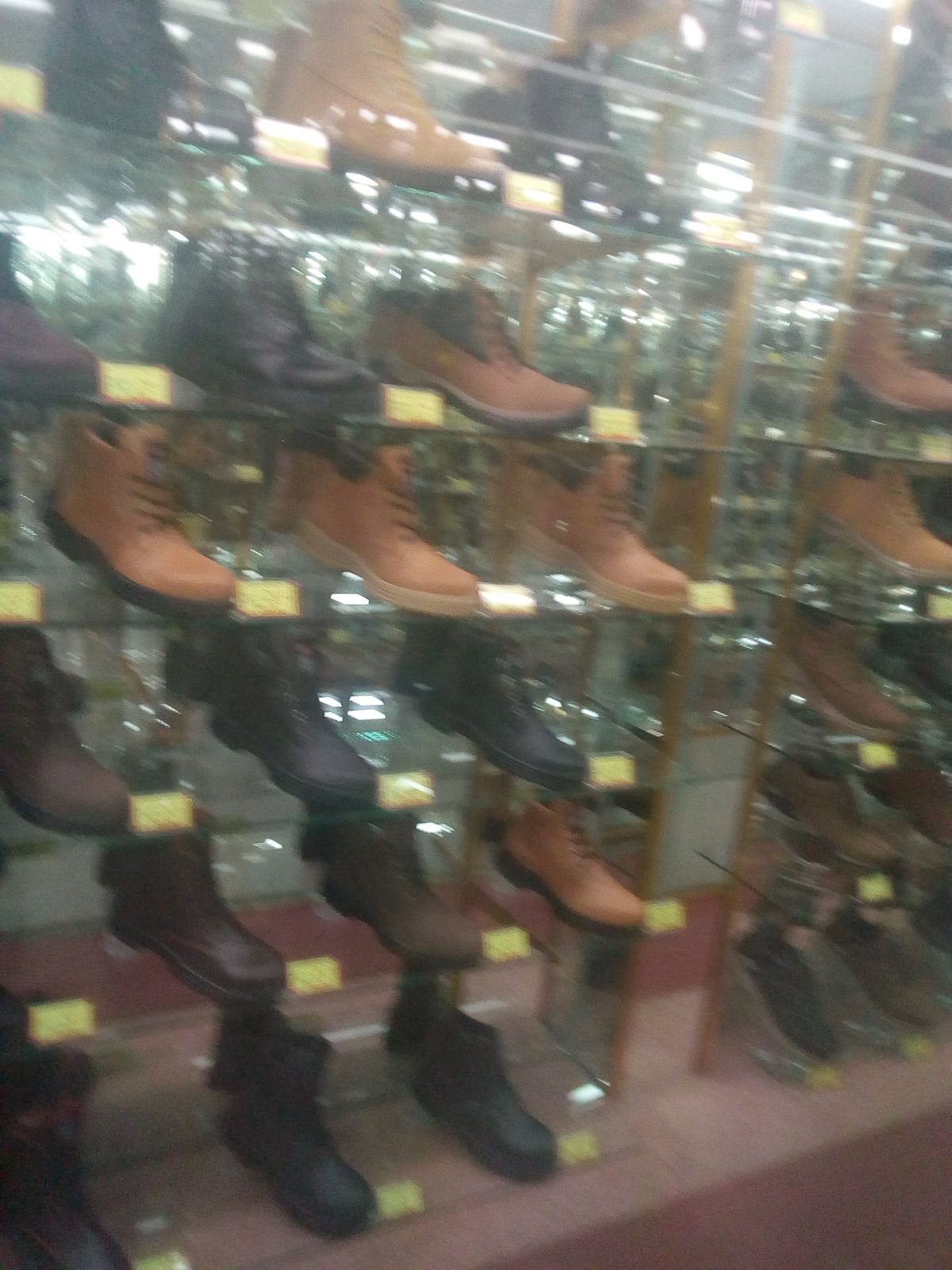 leetx-google-photo-53899-1