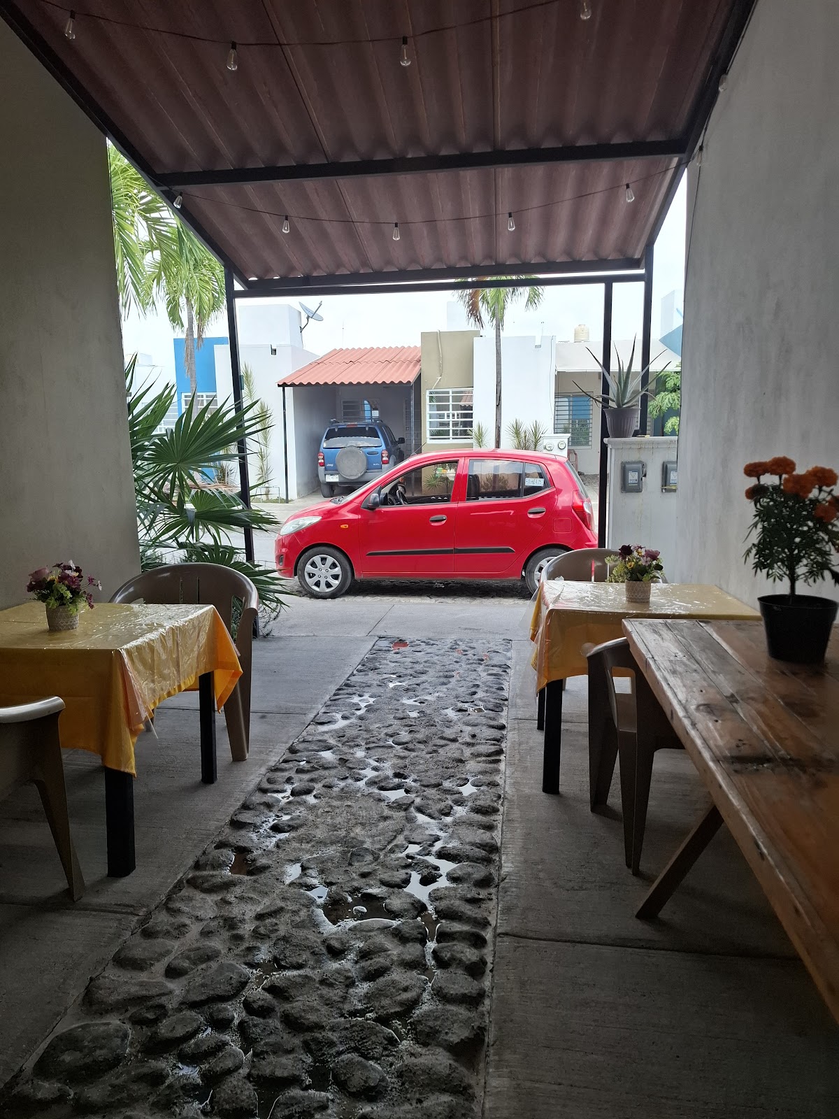 leetx-google-photo-54219-1