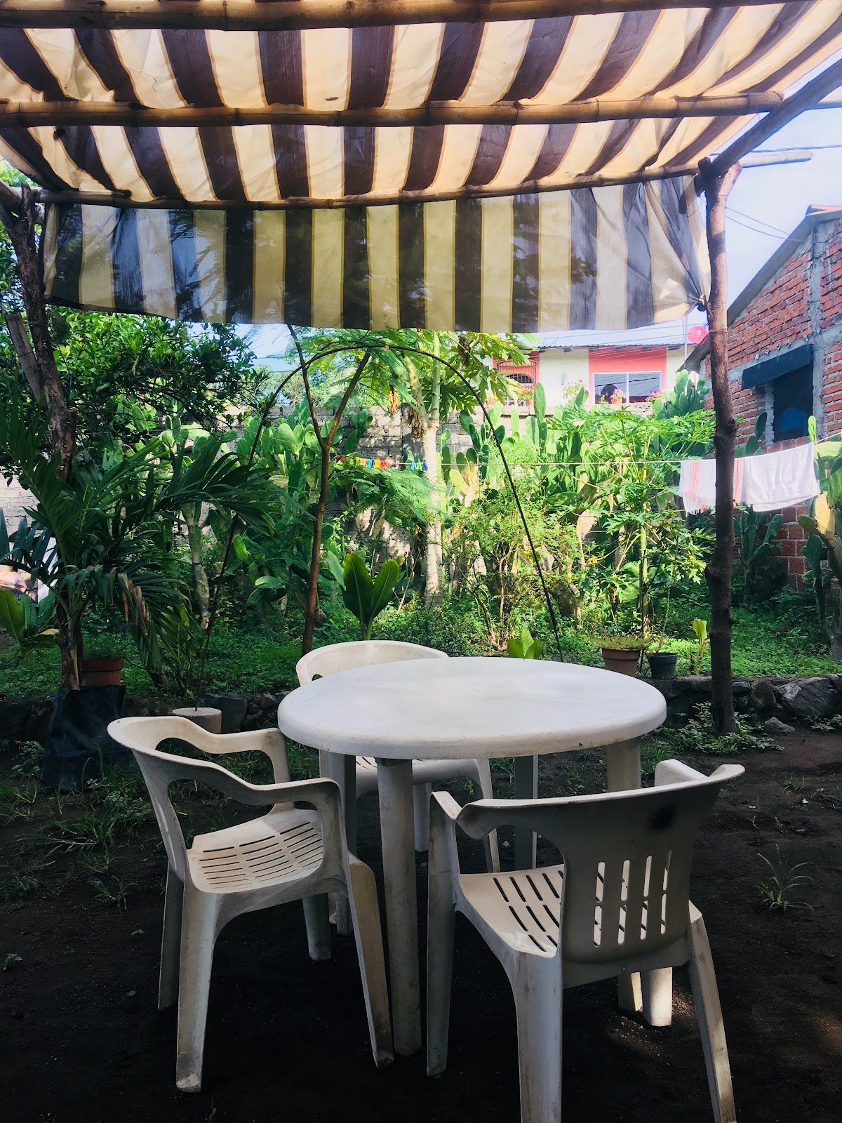 leetx-google-photo-54265-1