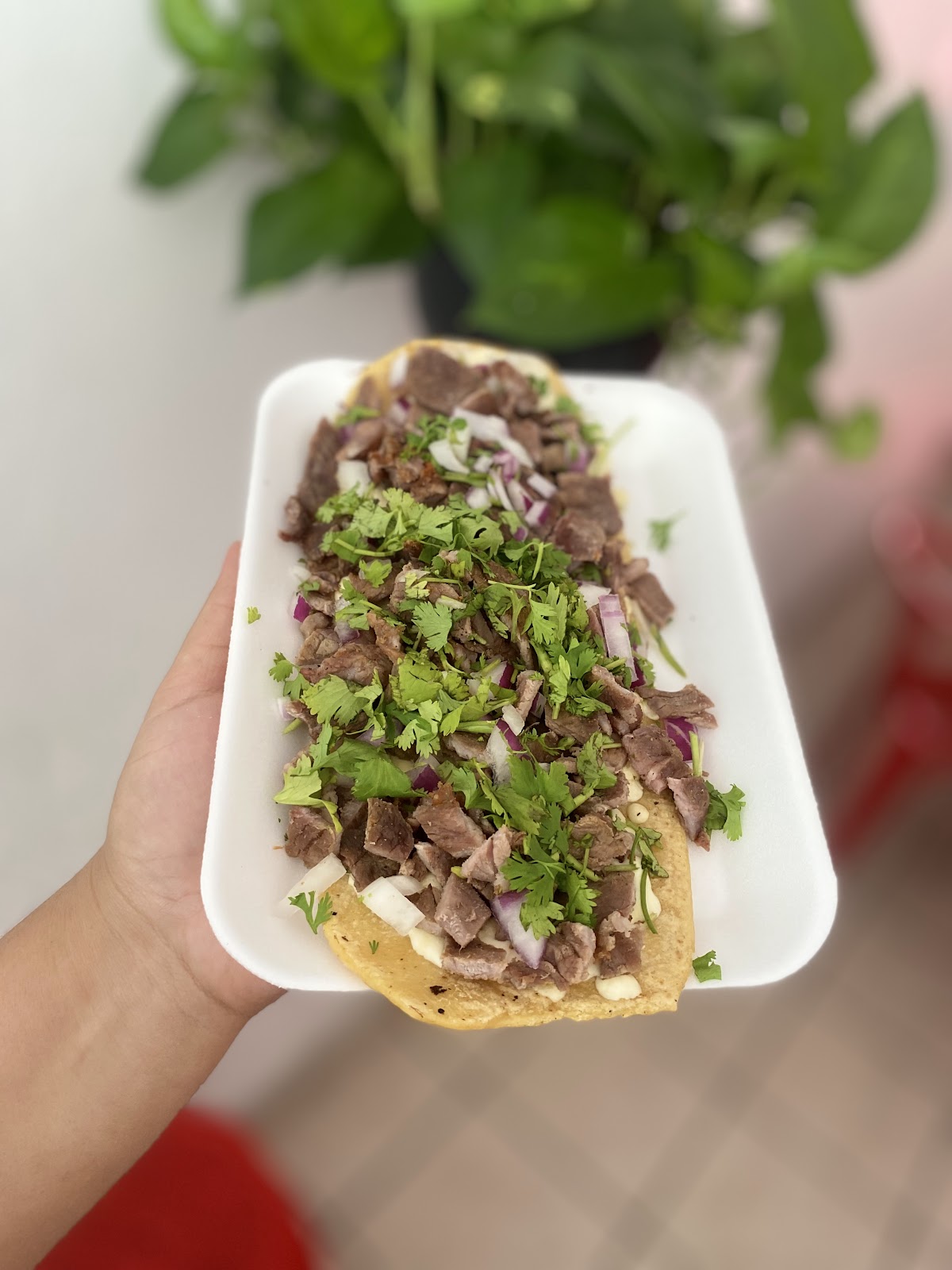 leetx-google-photo-54470-4 leetx-google-photo-54470-4