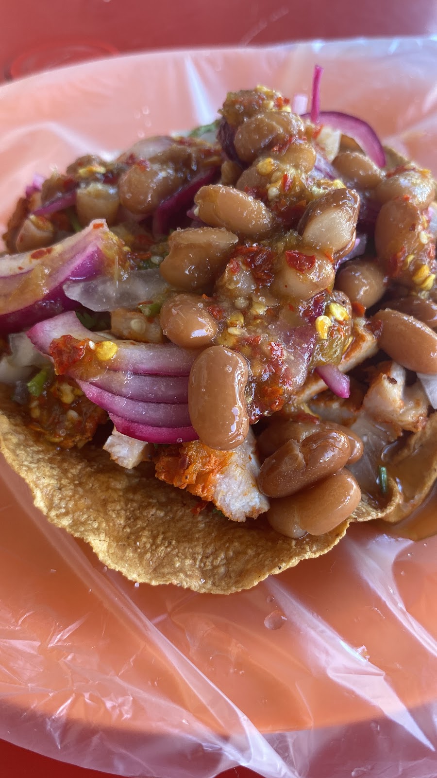 leetx-google-photo-54470-8 leetx-google-photo-54470-8