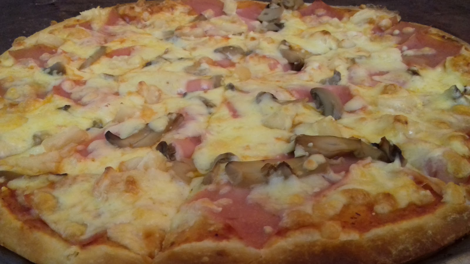 leetx-google-photo-54980-1