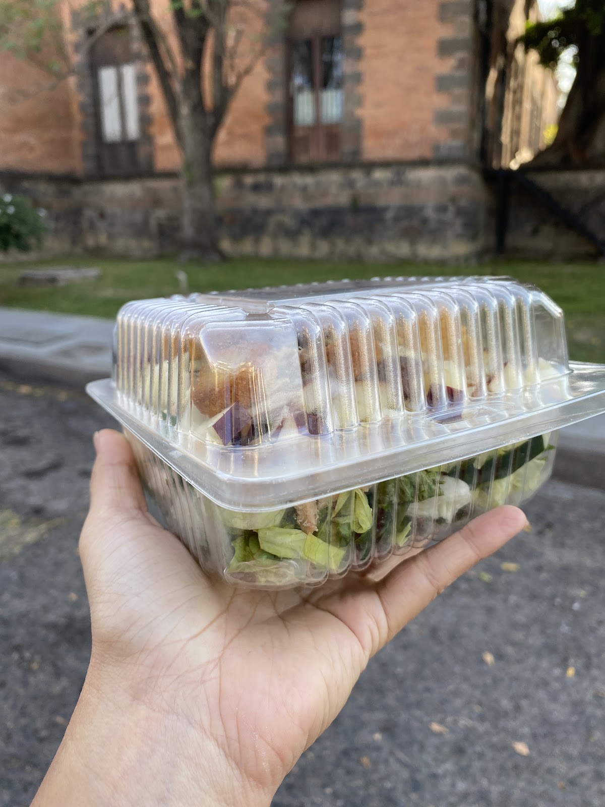 leetx-google-photo-55127-5 leetx-google-photo-55127-5