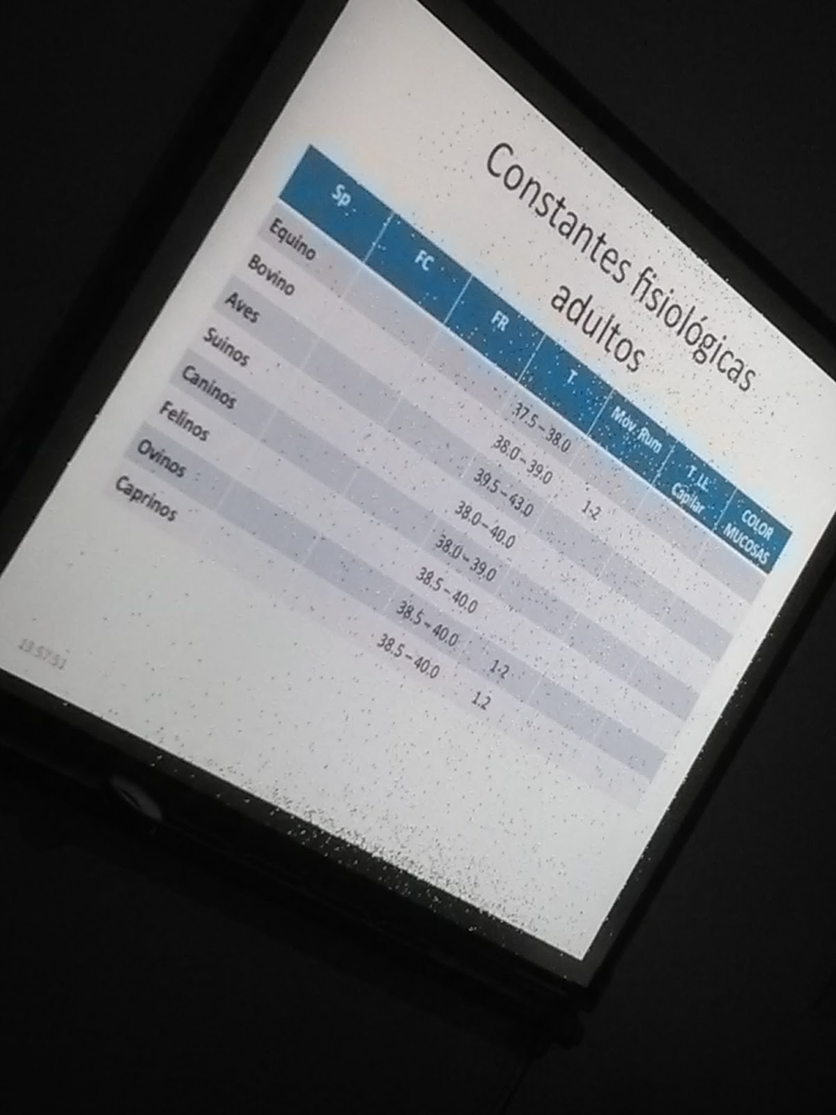 leetx-google-photo-55136-2 leetx-google-photo-55136-2