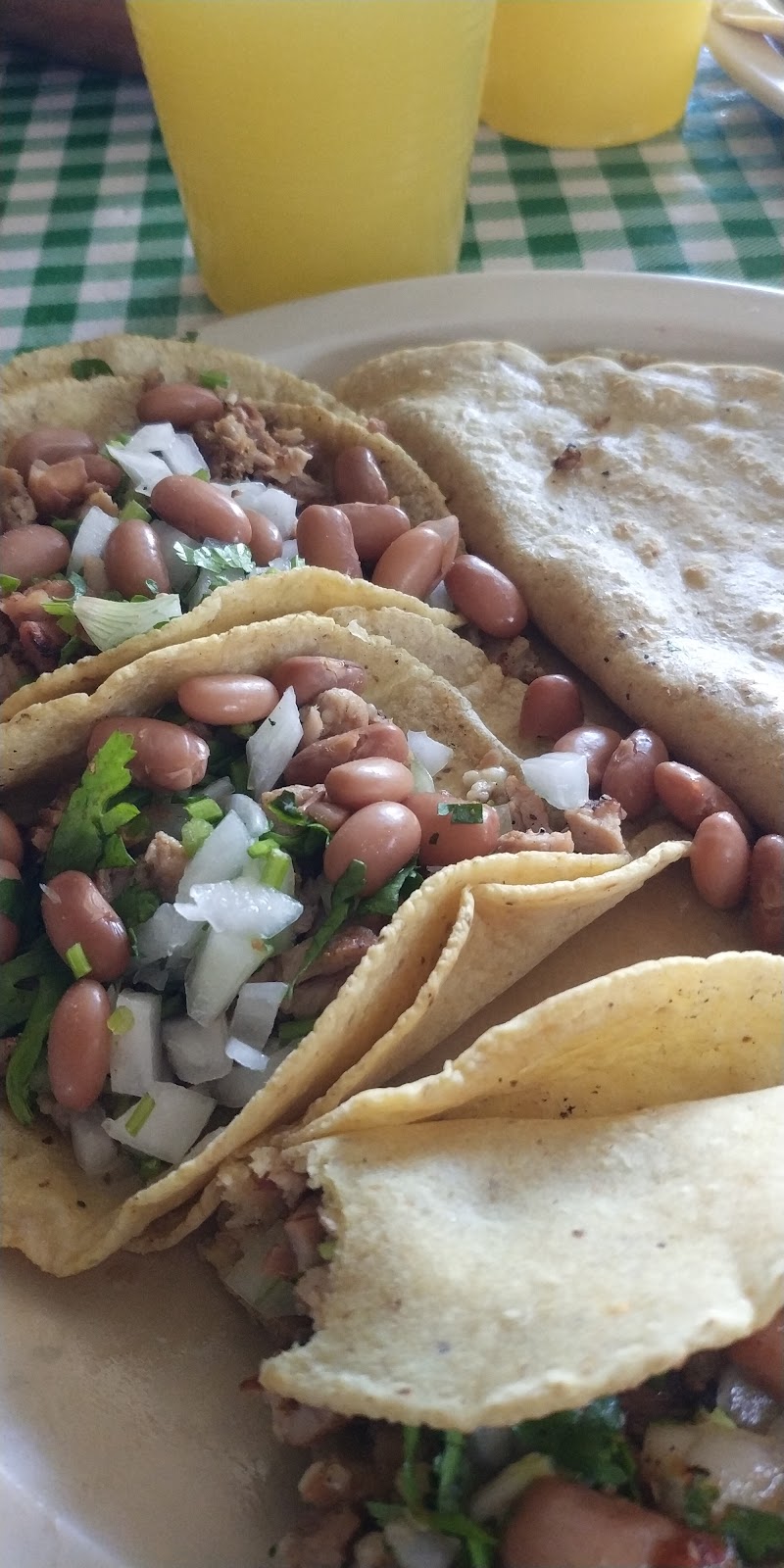 leetx-google-photo-55362-5 leetx-google-photo-55362-5