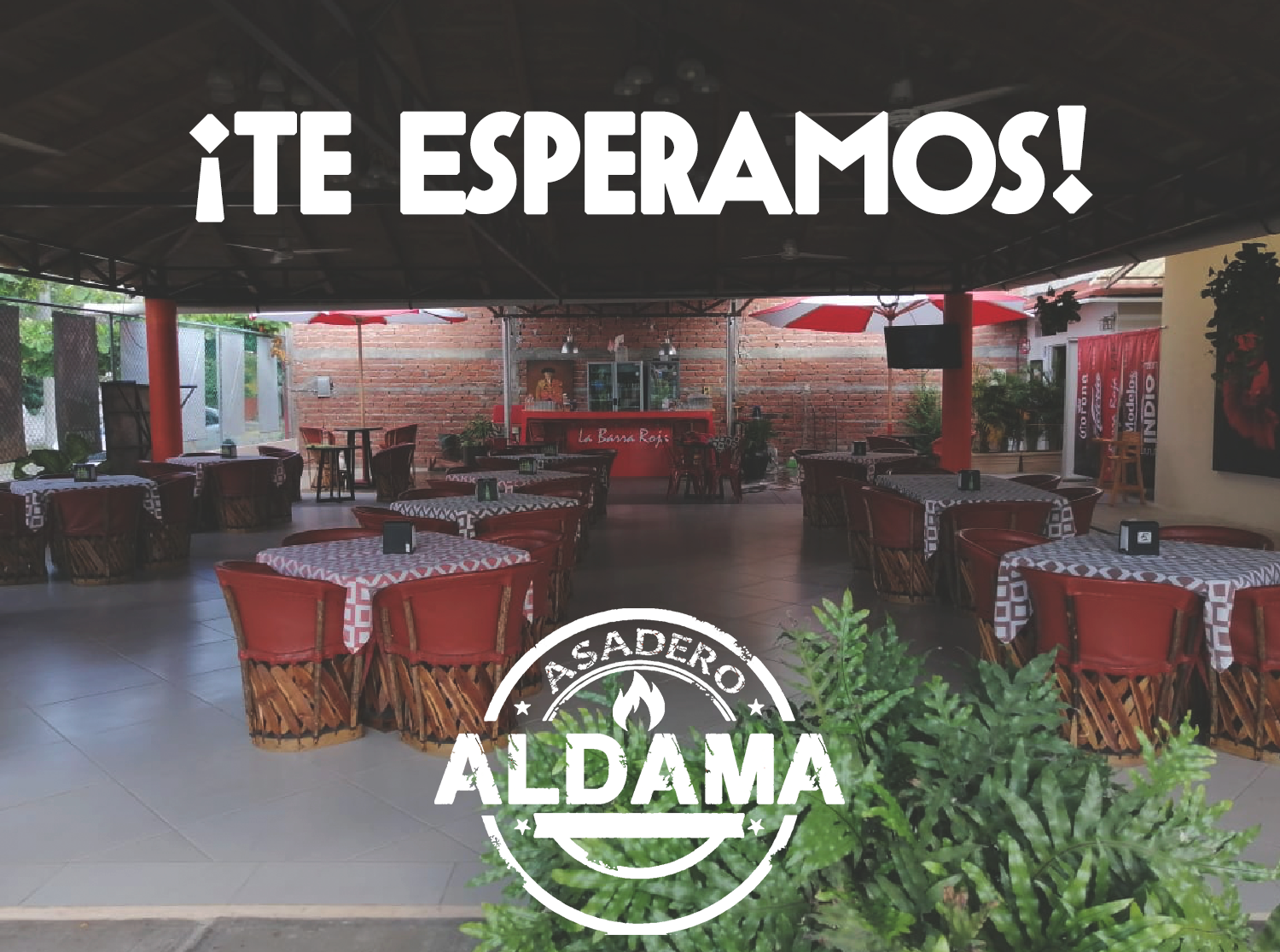 leetx-google-photo-55389-8 leetx-google-photo-55389-8