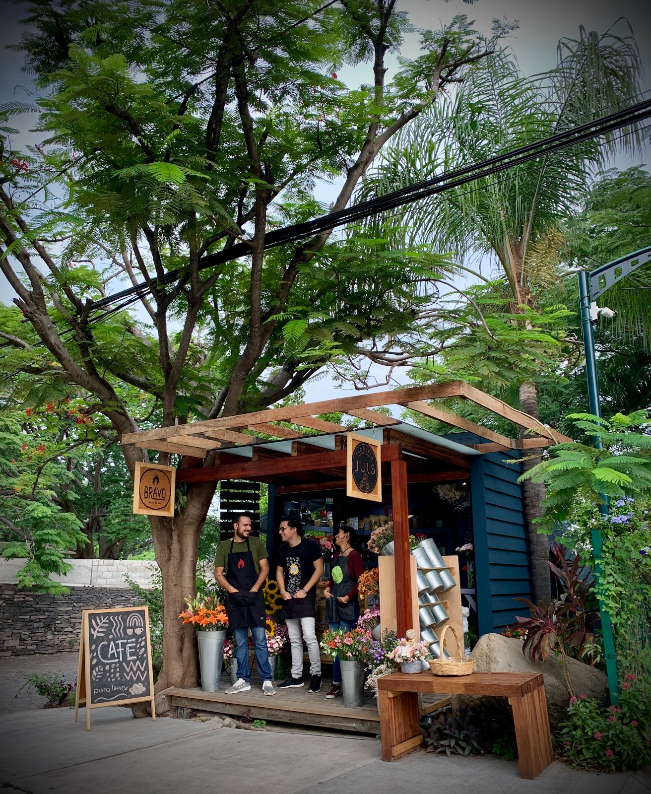 leetx-google-photo-55878-6 leetx-google-photo-55878-6