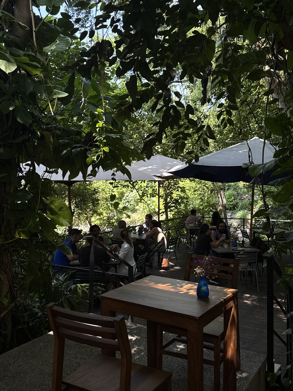 leetx-google-photo-55878-7 leetx-google-photo-55878-7