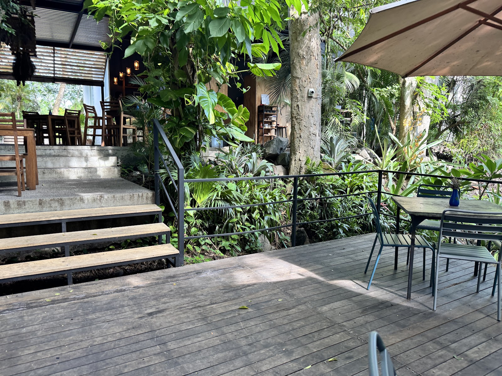 leetx-google-photo-55878-8 leetx-google-photo-55878-8