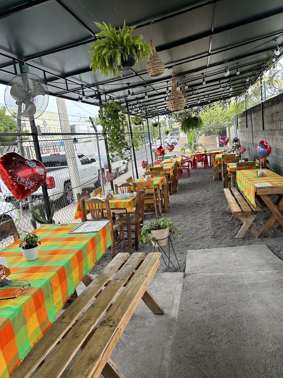 leetx-google-photo-56013-1