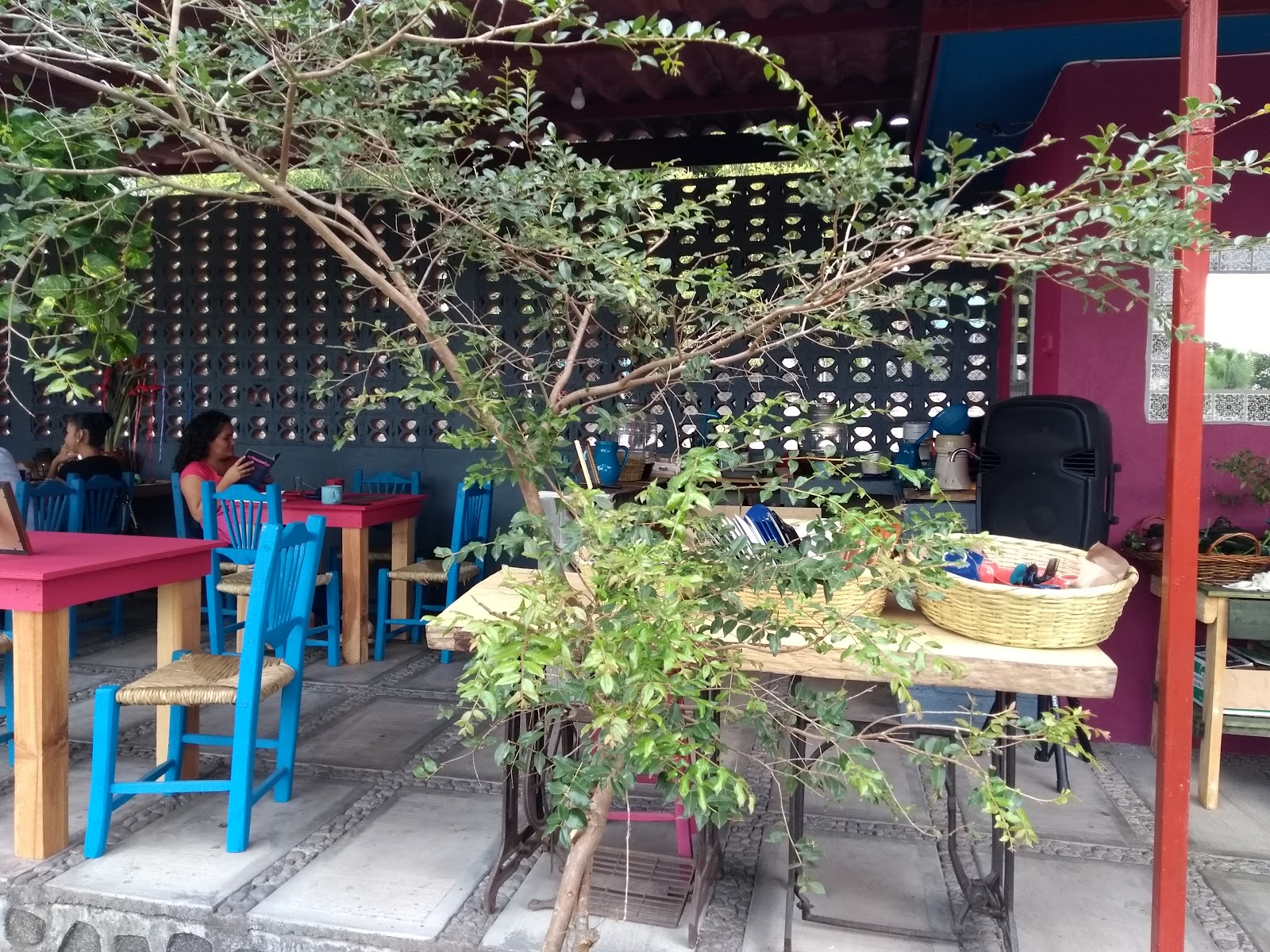 leetx-google-photo-56033-1