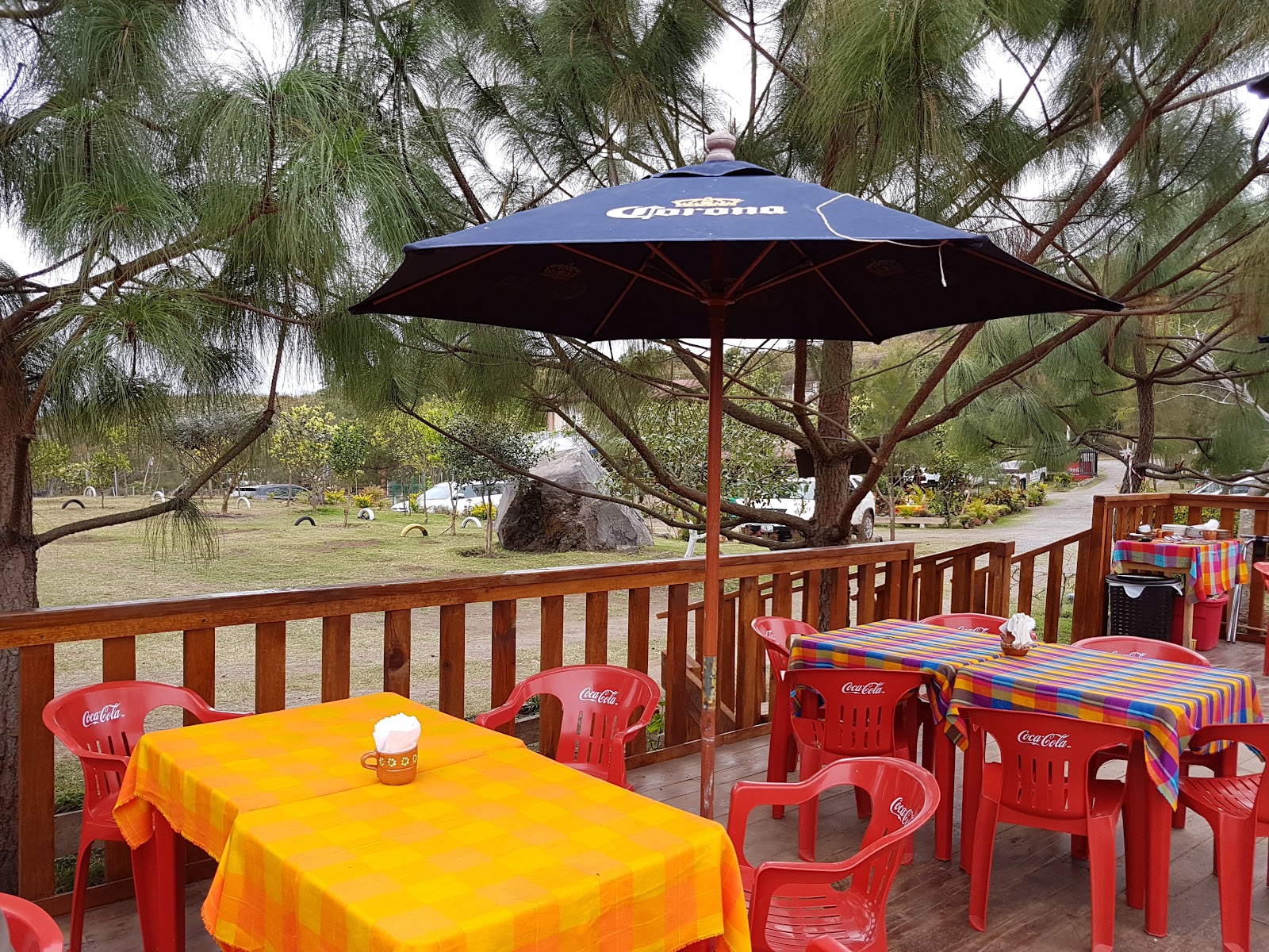 leetx-google-photo-56343-1