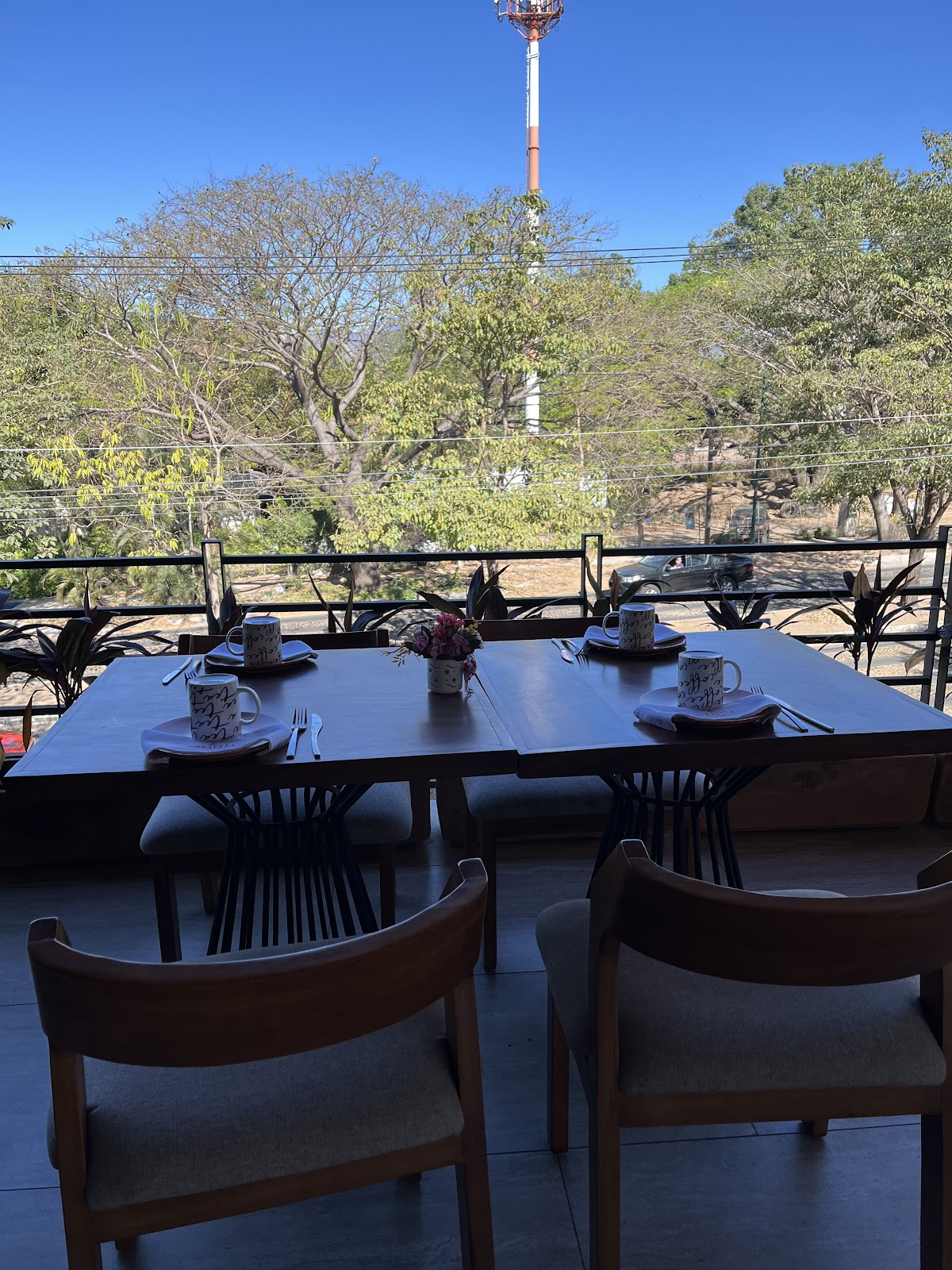 leetx-google-photo-56379-1