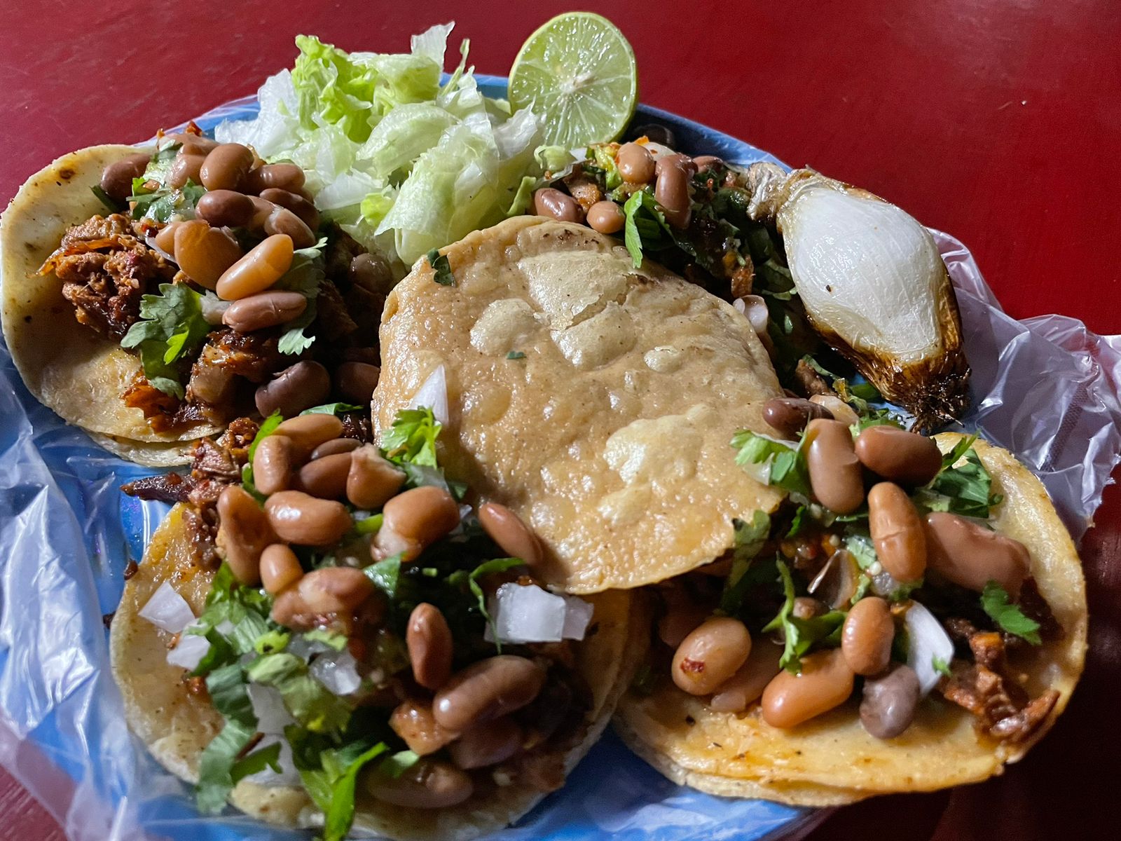 leetx-google-photo-56789-1