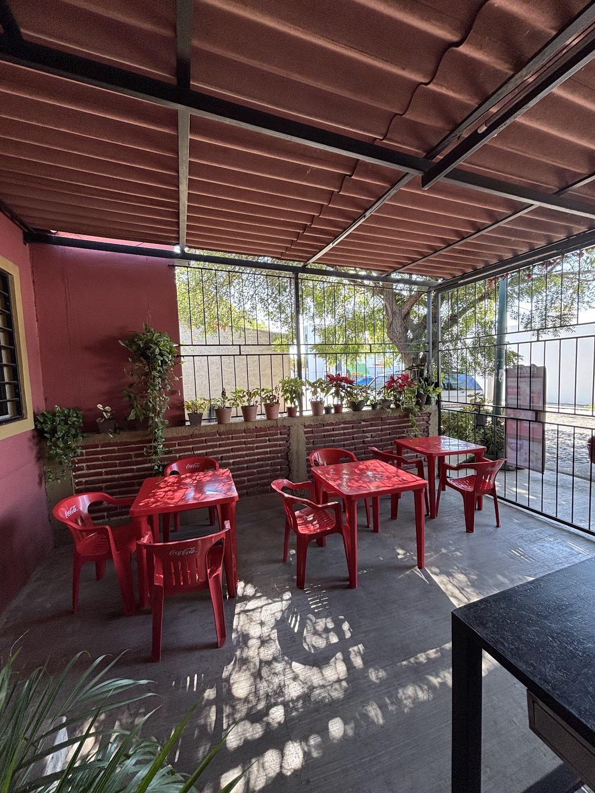 leetx-google-photo-57344-1