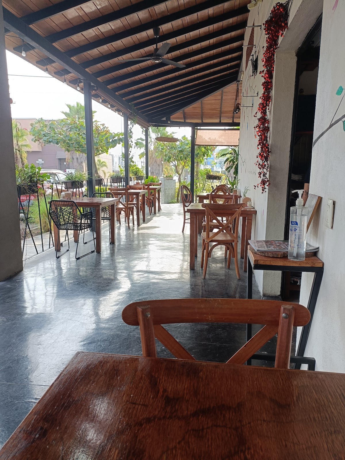 leetx-google-photo-57486-5 leetx-google-photo-57486-5