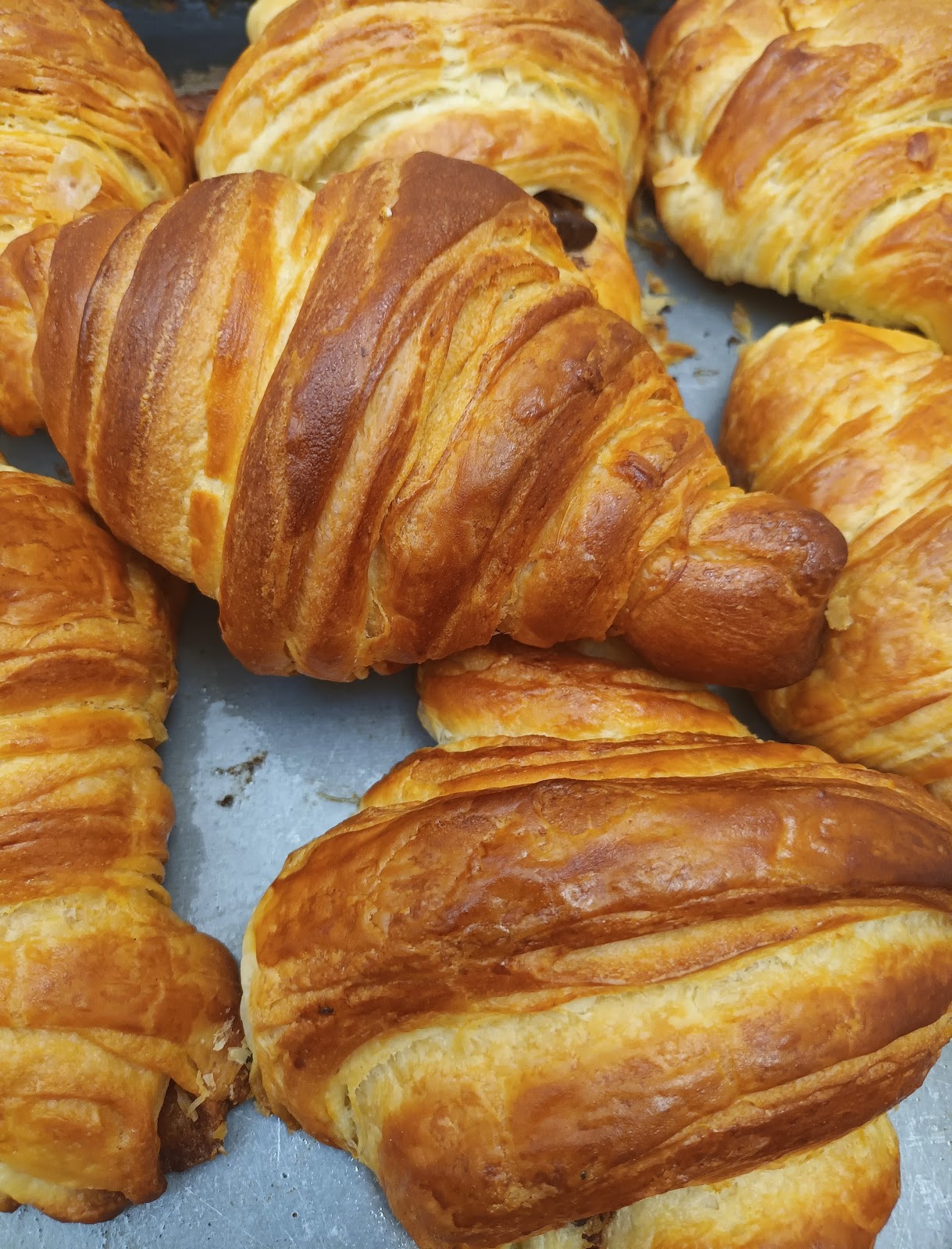 leetx-google-photo-57772-3 leetx-google-photo-57772-3