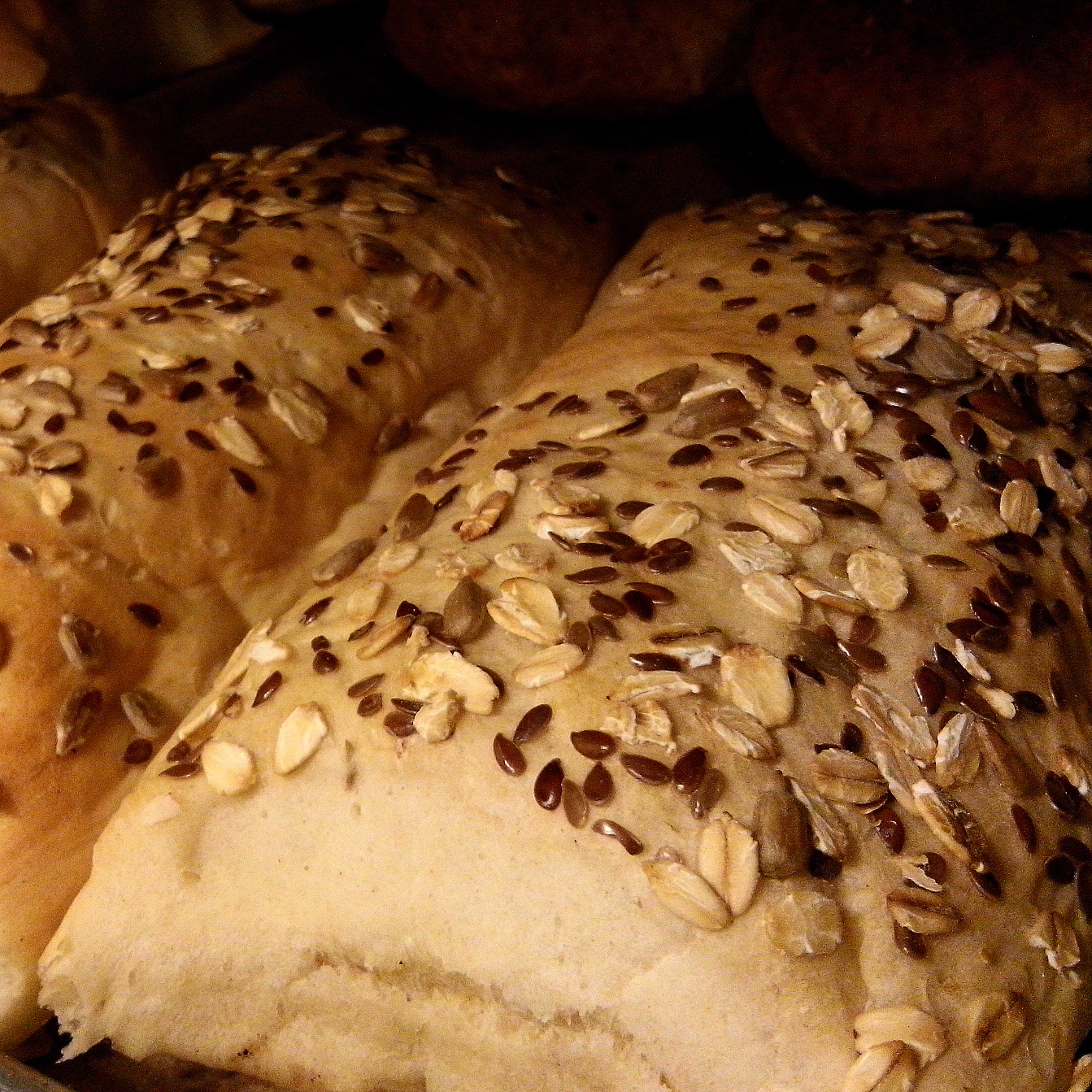 leetx-google-photo-57773-4 leetx-google-photo-57773-4