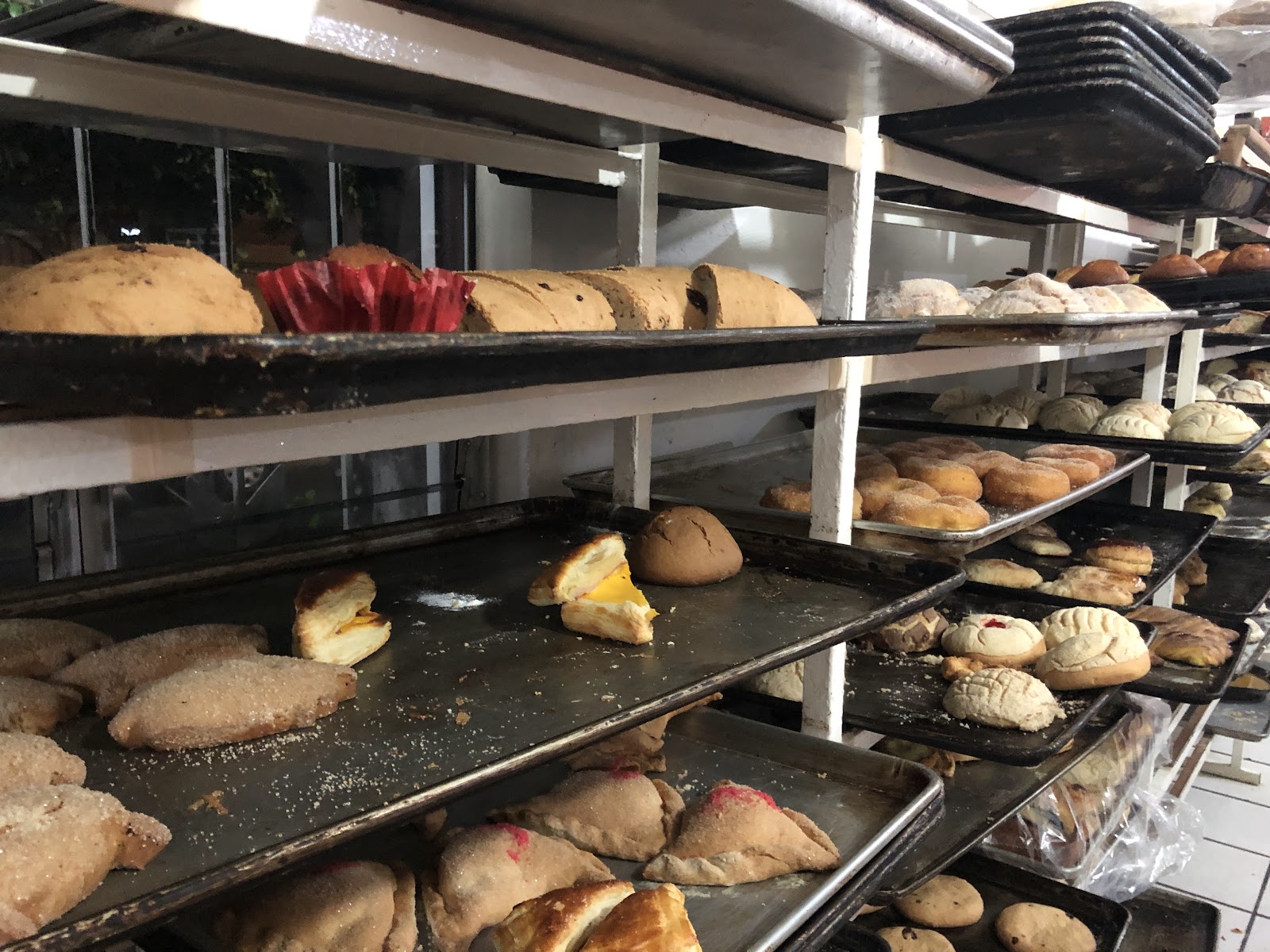 leetx-google-photo-57826-1