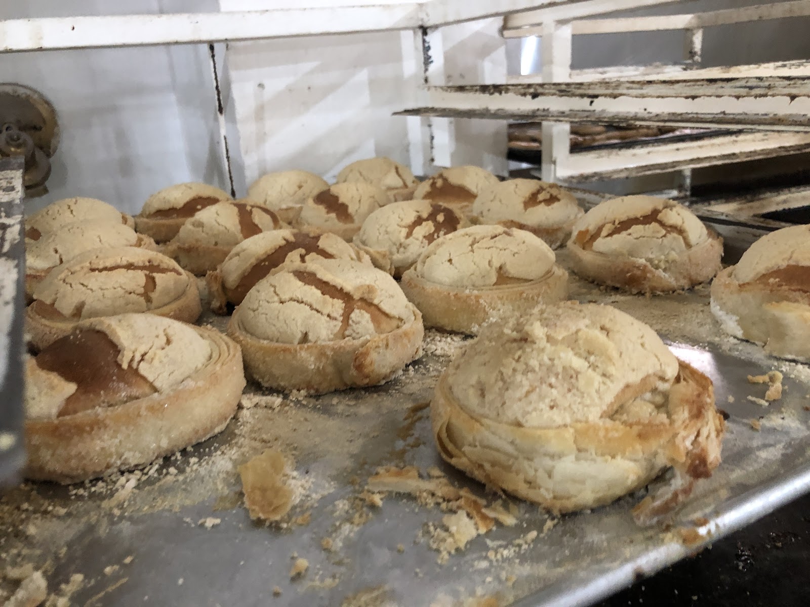 leetx-google-photo-57826-2 leetx-google-photo-57826-2